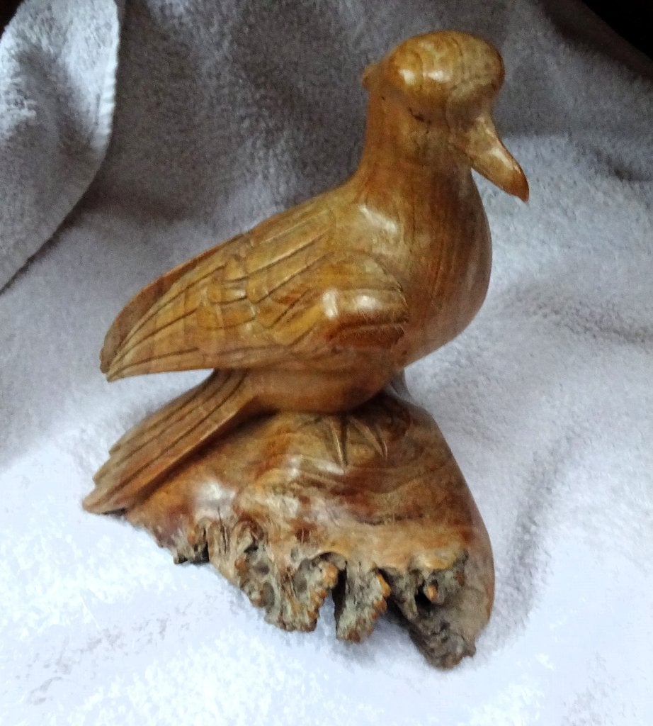 Hout + Parasiethout gedeelte Beeld Vogel met kuifje * Kunst, Verzenden, Handgemaakt, 20 - 50 cm, Zeeleven