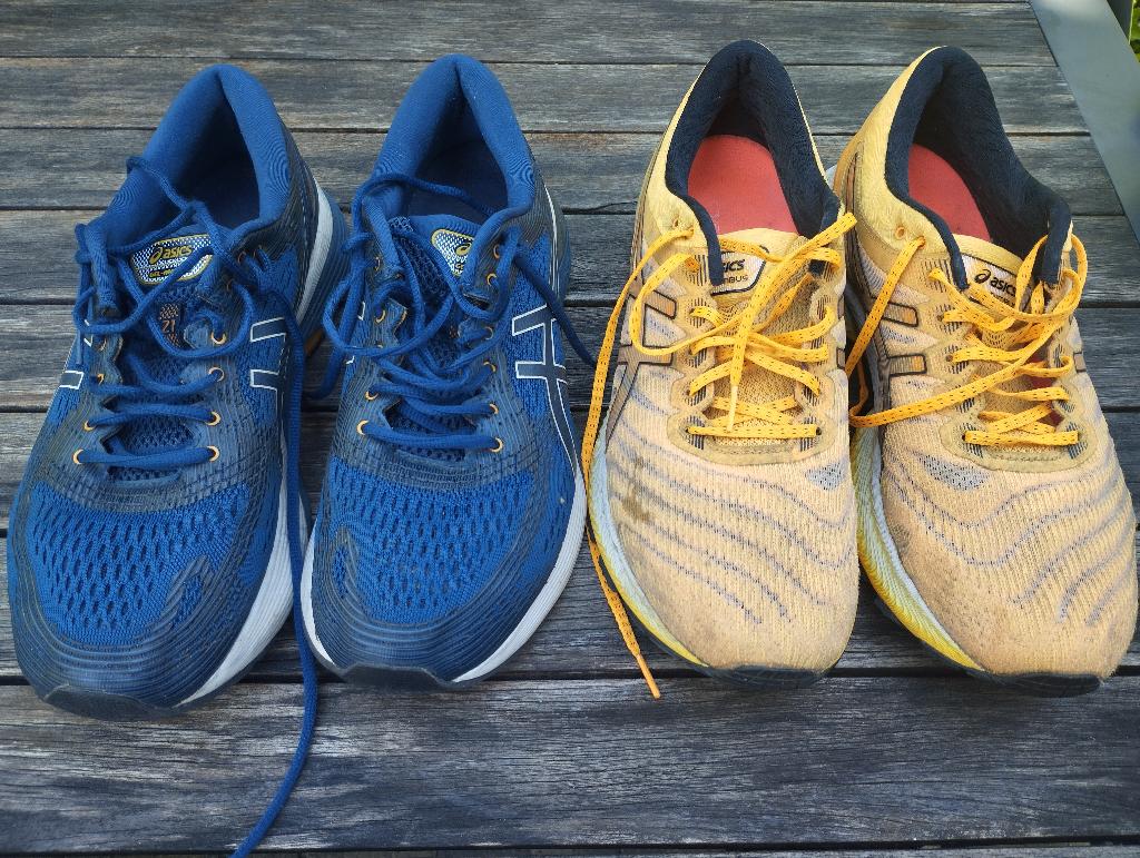 Asics Nimbus 21 en 22, maat 44, Gebruikt, Hardloopschoenen, Ophalen of Verzenden, Hardlopen