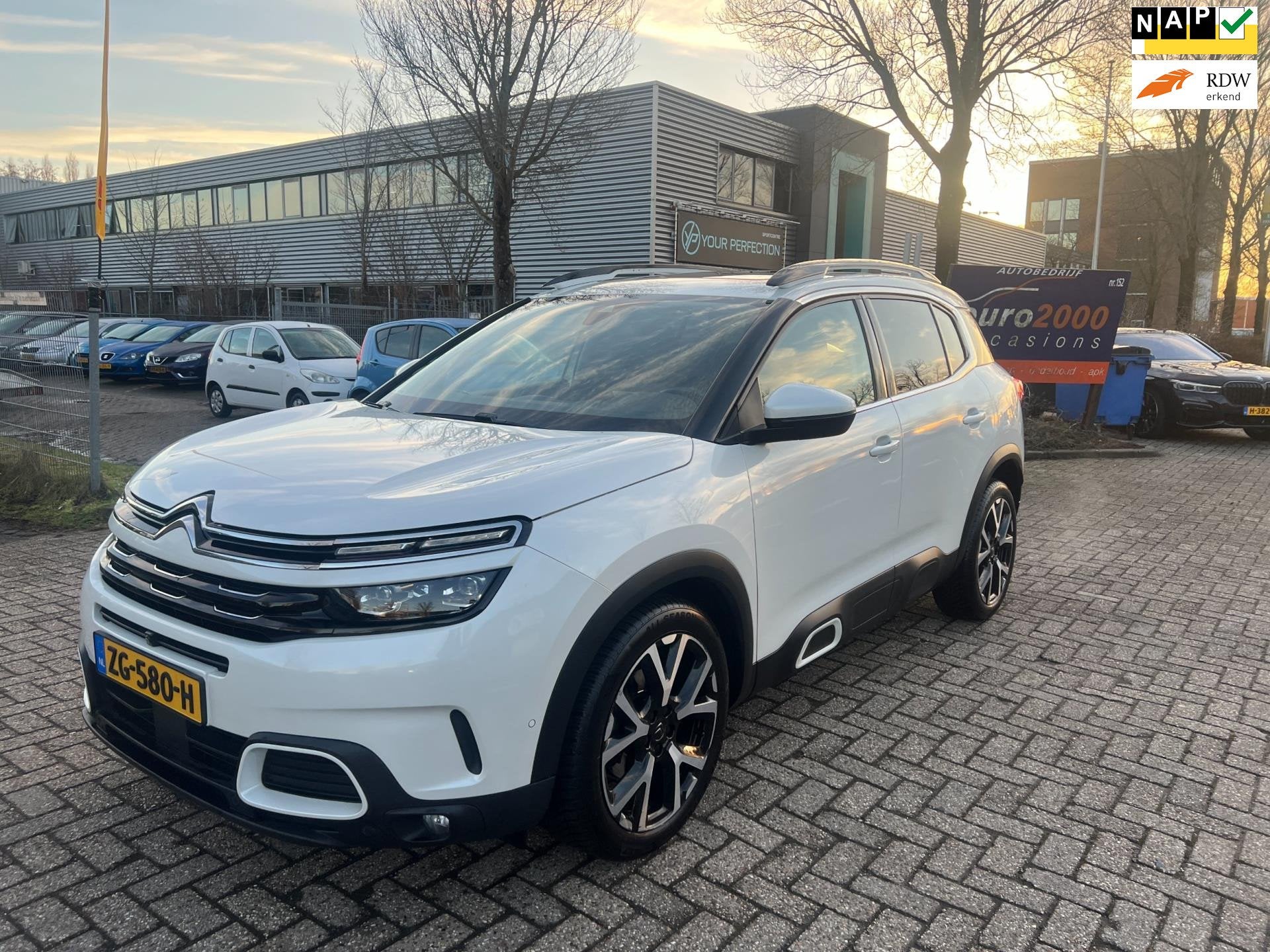 Citroen C5 Aircross 1.5 BlueHDI Business Plus - PANO - LUXE, 4 cilinders, C5 Aircross, Automatische klimaatregeling, Wit