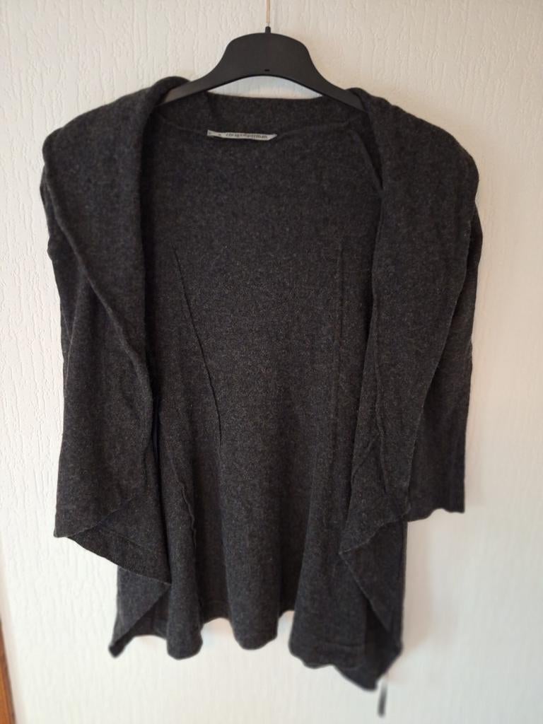 Wollen vest van Cora Kemperman, Kleding | Dames, Cora Kemperman, Ophalen of Verzenden, Zo goed als nieuw, Maat 36 (S)