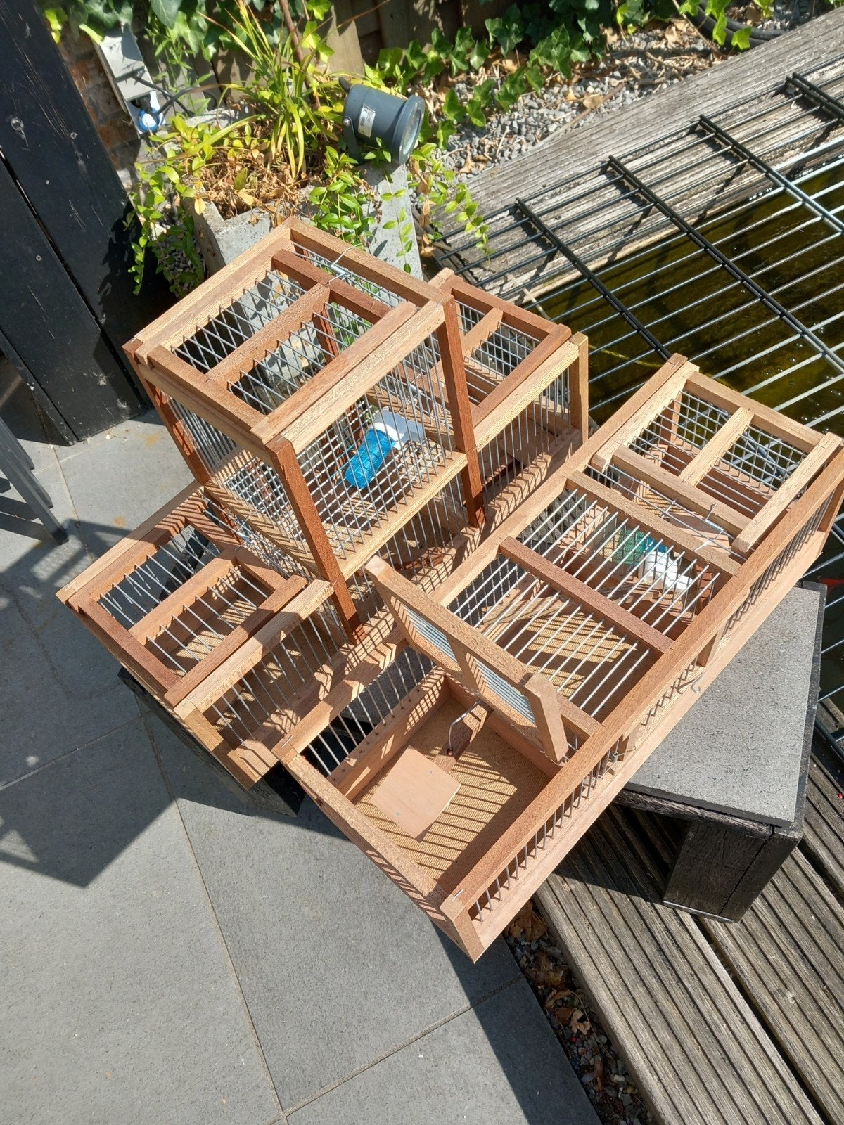 Vangkooien klepkooien voorfrontjes, Ophalen of Verzenden, Nieuw, Hout, Volière