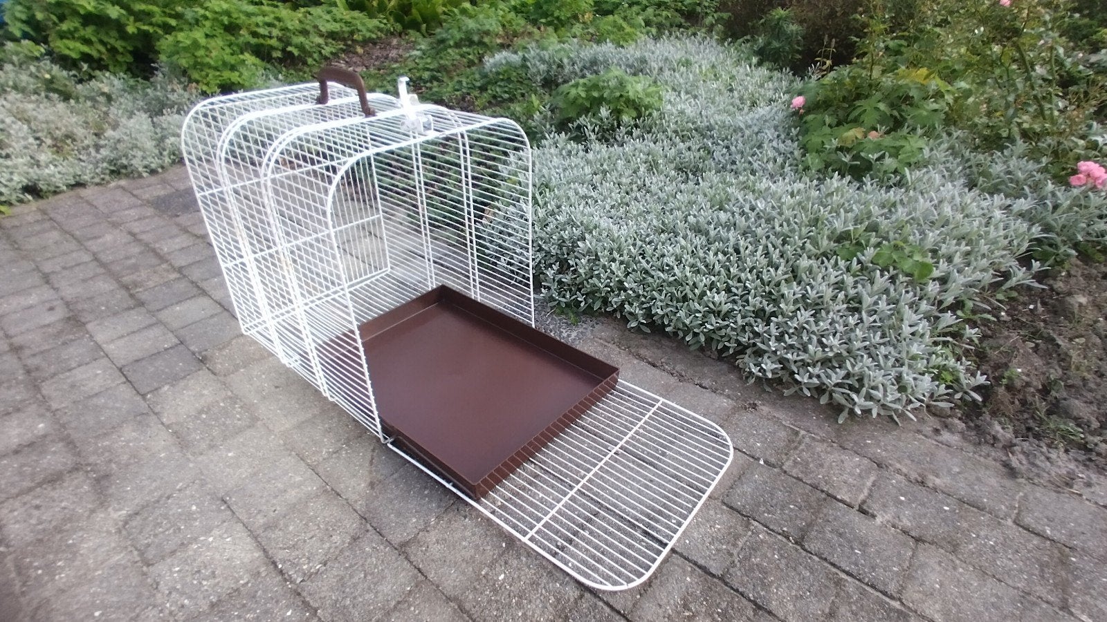 transport kooi voor katten, Ophalen, Gebruikt, Metaal, Overige typen