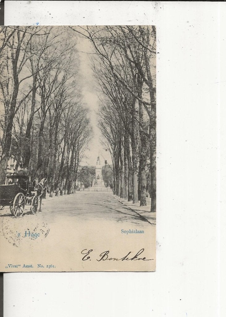 Den Haag Sophialaan met koets Vivat 26 jan 1902, Ophalen of Verzenden, Voor 1920, Gelopen, Zuid-Holland