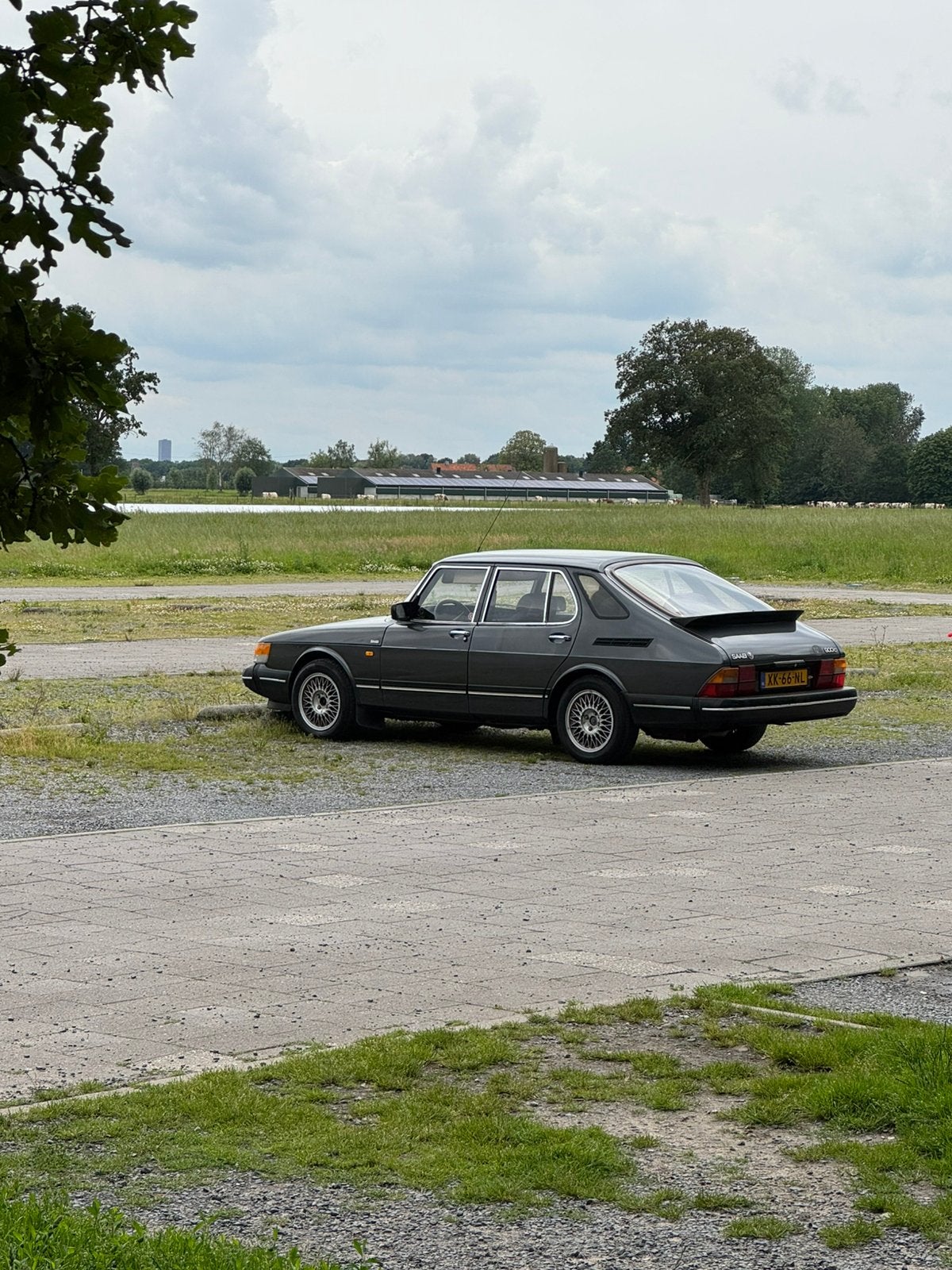 GEZOCHT: Linkerachterportier Oduardo Grijs Saab 900 classic, Ophalen