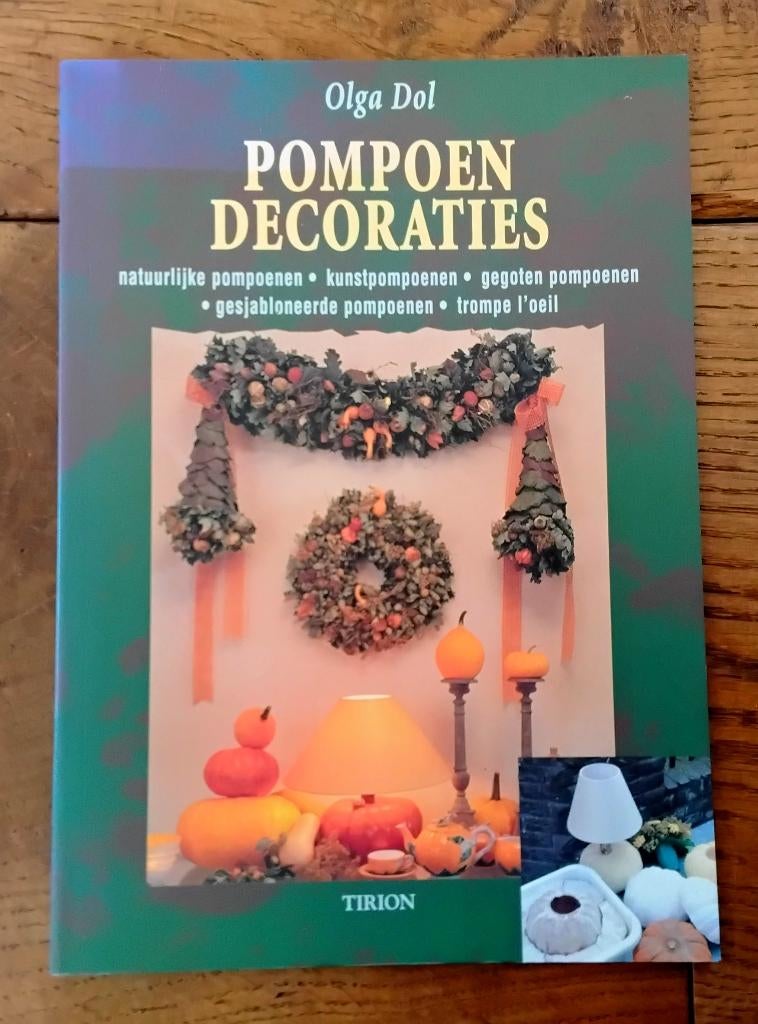 Pompoen decoraties - natuurlijke pompoenen * kunstpompoenen, Ophalen of Verzenden, Zo goed als nieuw, Overige onderwerpen, Olga Dol