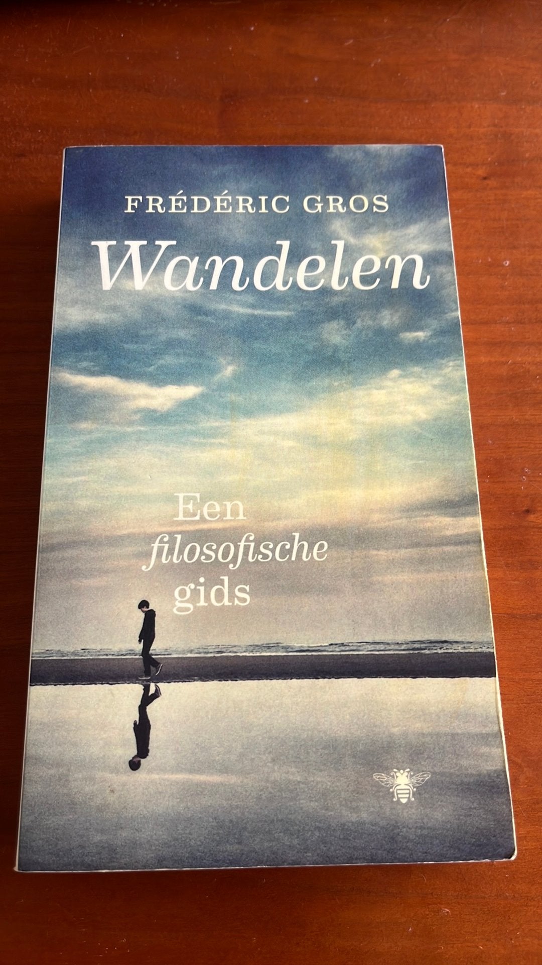 Frédéric Gros - Wandelen, Ophalen of Verzenden, Zo goed als nieuw, Algemeen