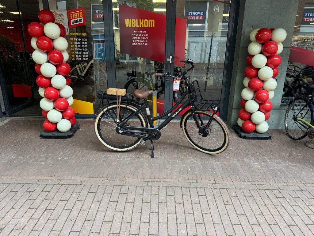 Fietshokje Raaks:Raaks Hudson elektrische transportfiets