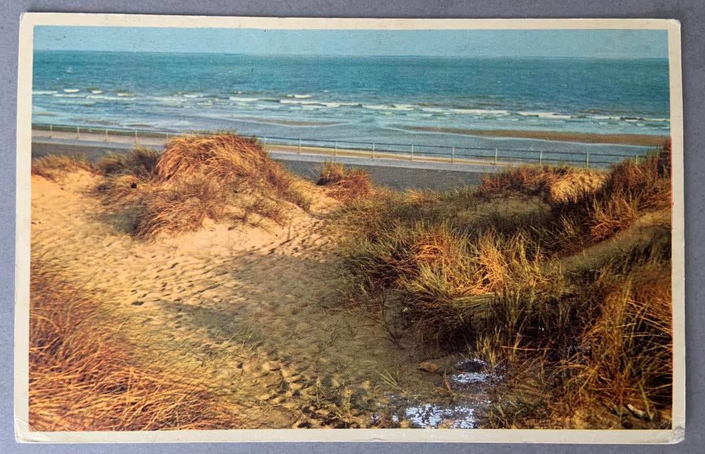 Duinen en zee, Stichting Natuurvriendenhuizen, Ophalen of Verzenden, 1940 tot 1960, Gelopen