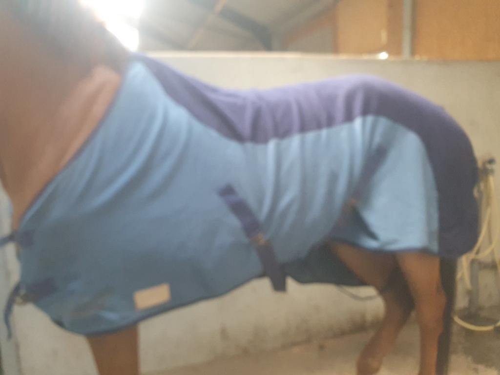 Zweetdeken met singel, Dieren en Toebehoren, Paarden en Pony's | Dekens en Dekjes, Ophalen of Verzenden