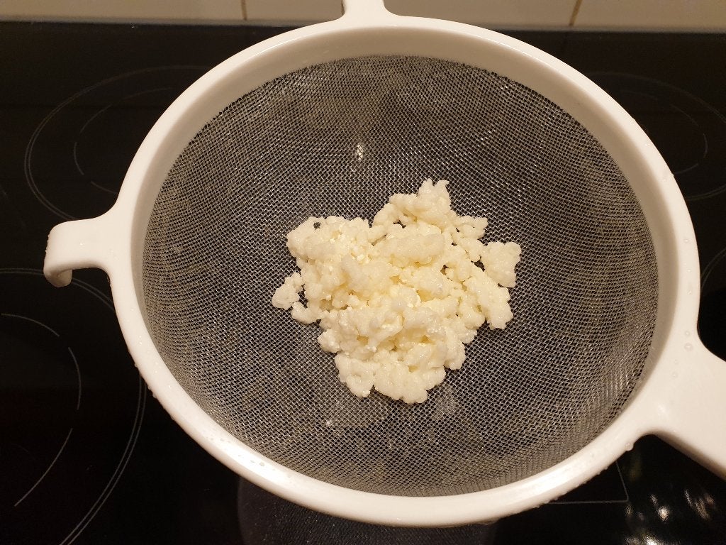 100 gram verse melk kefirkorrels, Ophalen