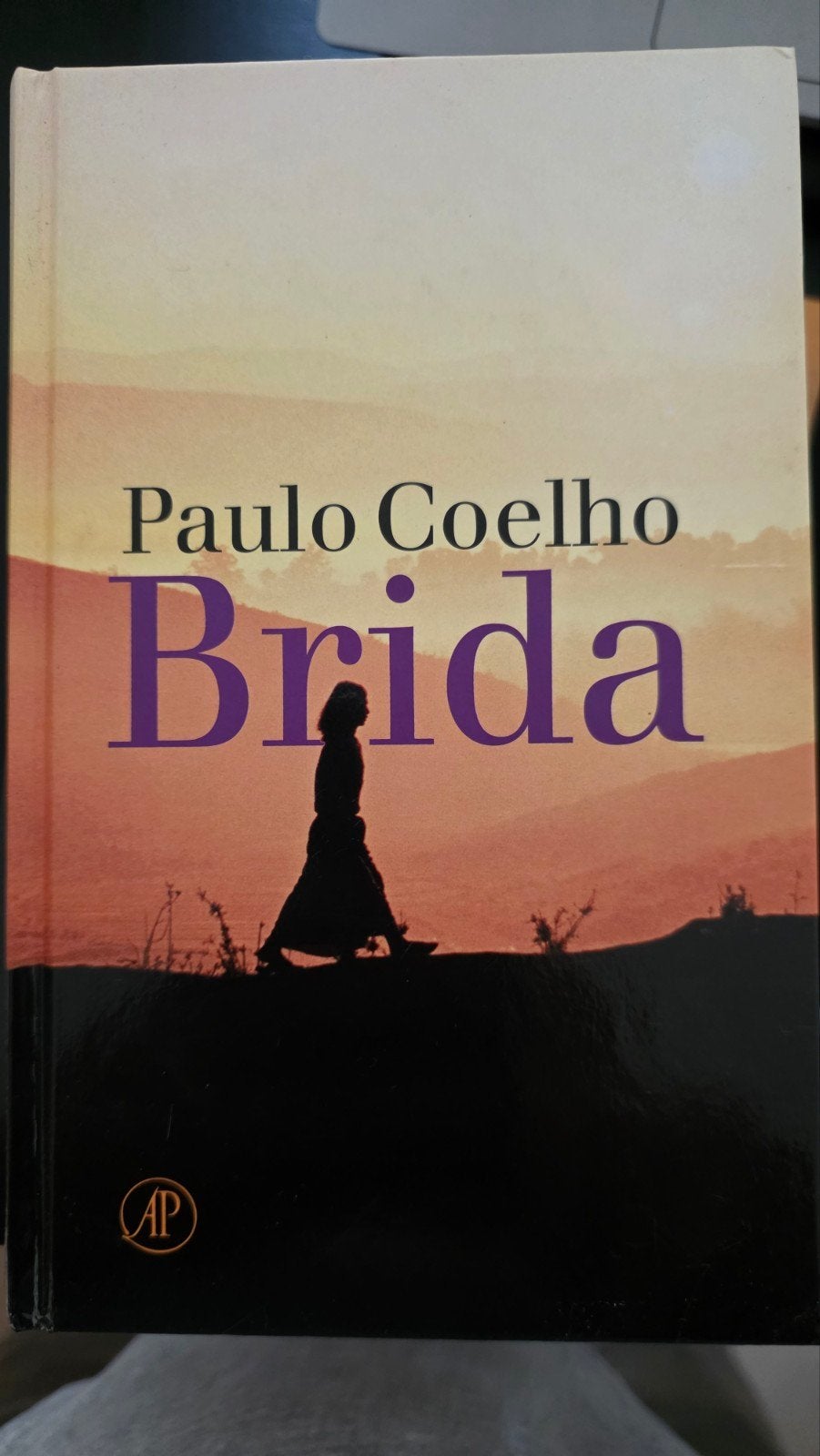 Paulo Coelho - Brida, Ophalen of Verzenden, Zo goed als nieuw, Paulo Coelho