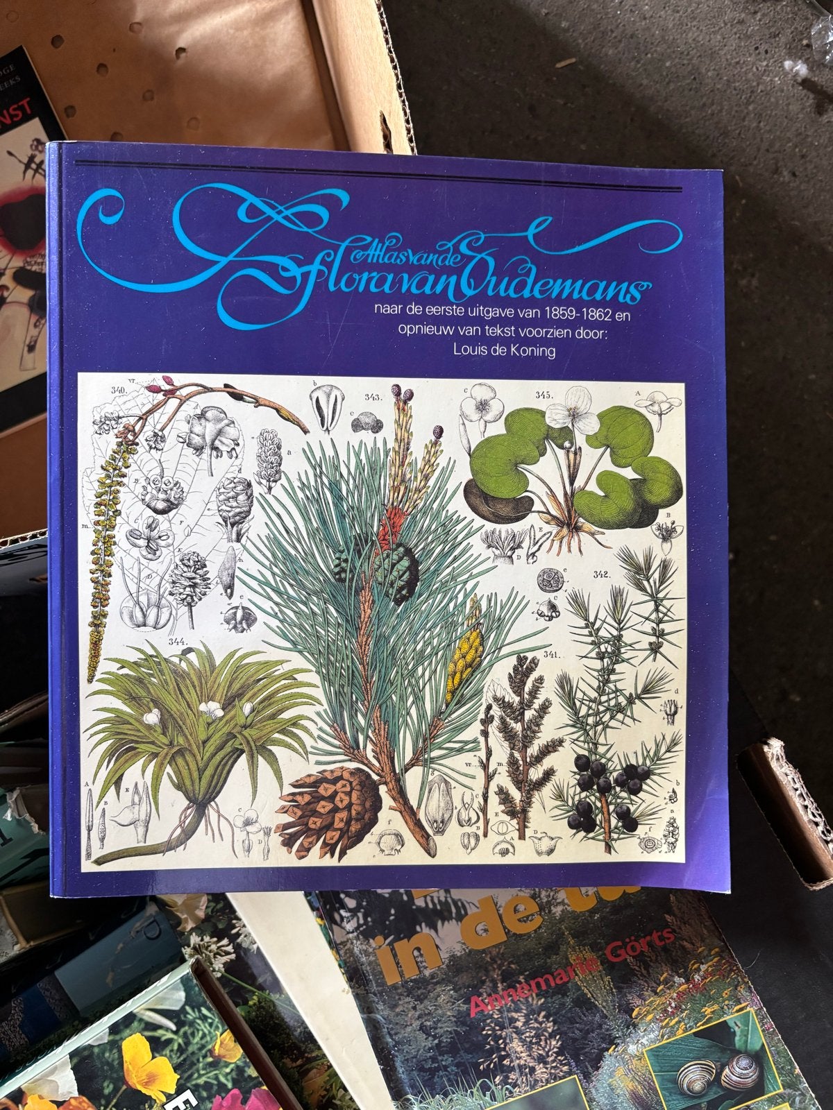 Atlas van de Flora van Oudemans - Natuurboek, Boeken, Natuur, Ophalen of Verzenden, Gelezen, Bloemen, Planten en Bomen
