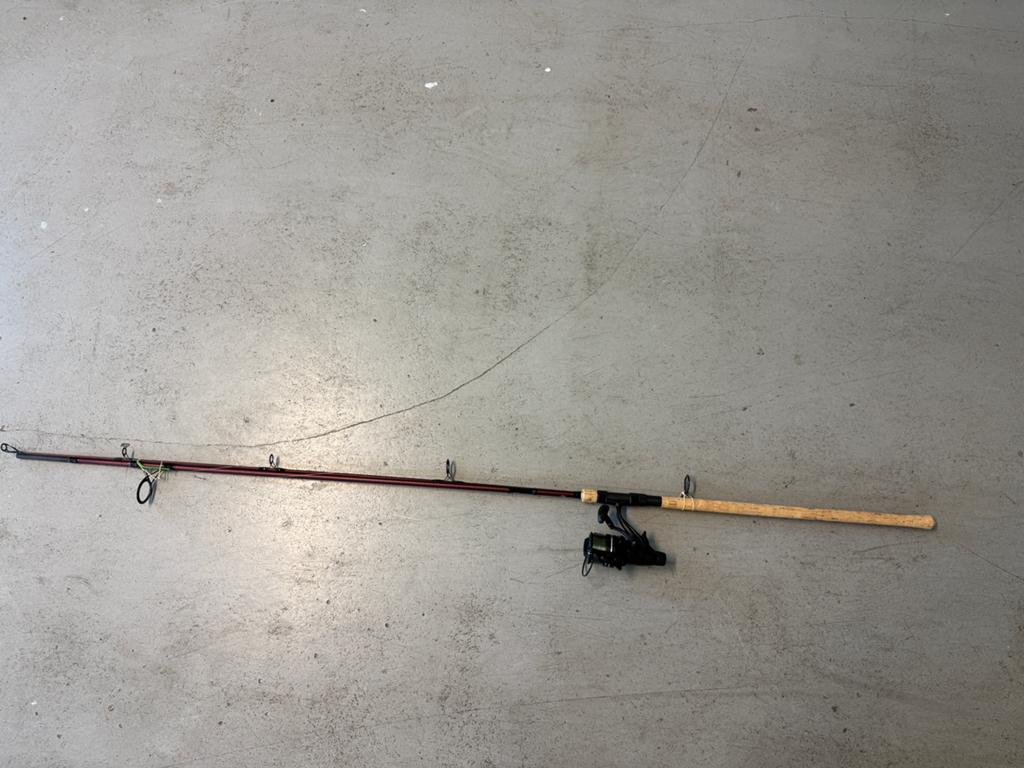 Delphin karperhengel 3.6 mtr 30 LBS twin + molen + foudraal, Watersport en Boten, Hengelsport | Algemeen, Ophalen, Zo goed als nieuw