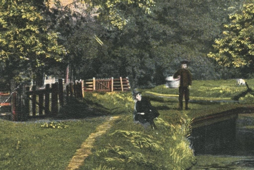 939996 s Gravenhage Boschgezicht Niet gelopen, Ophalen of Verzenden, Voor 1920, Ongelopen, Noord-Brabant