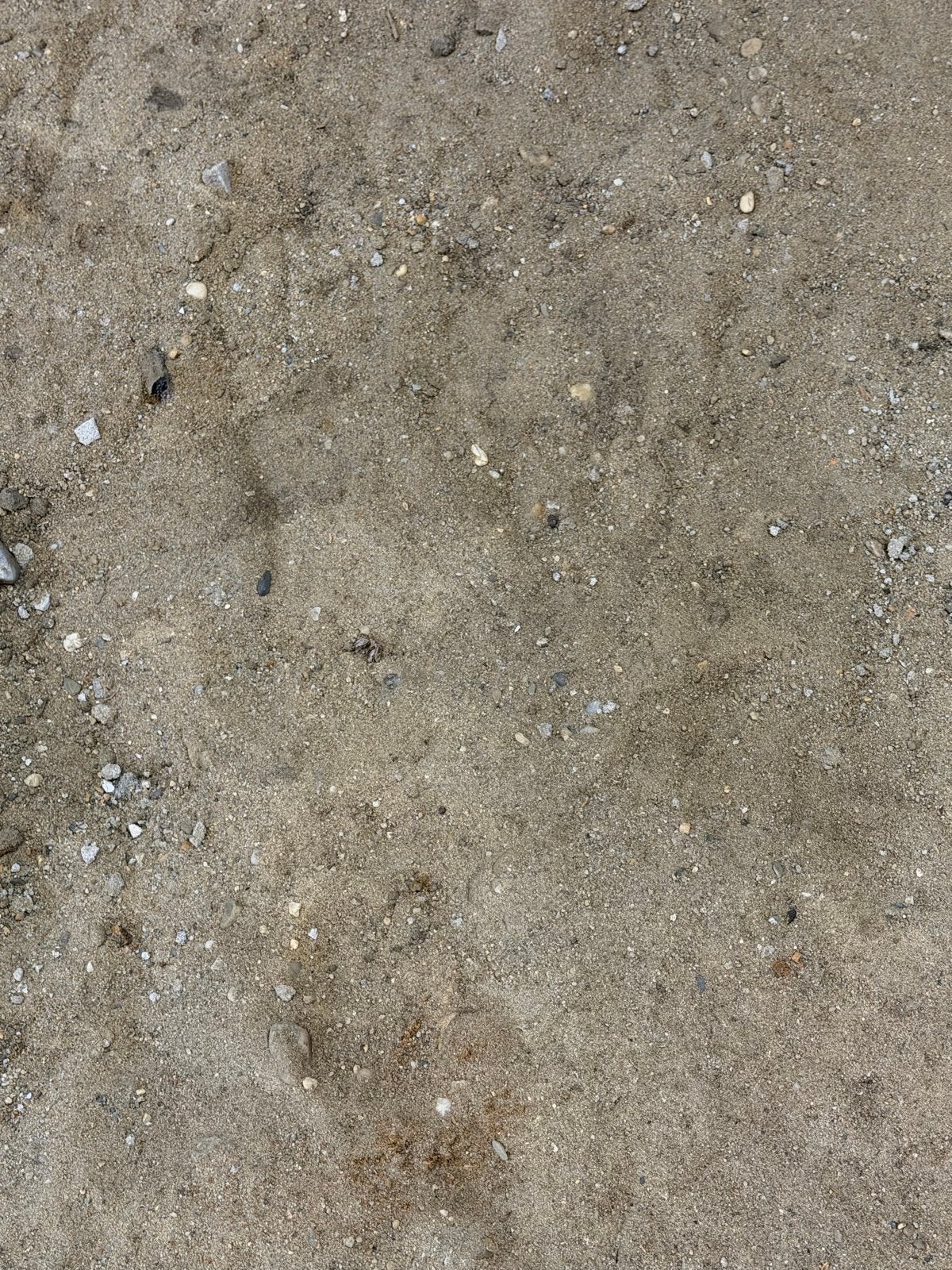 Bouwzand grond 7 m3 (gratis), Ophalen, Nieuw, Ophoogzand