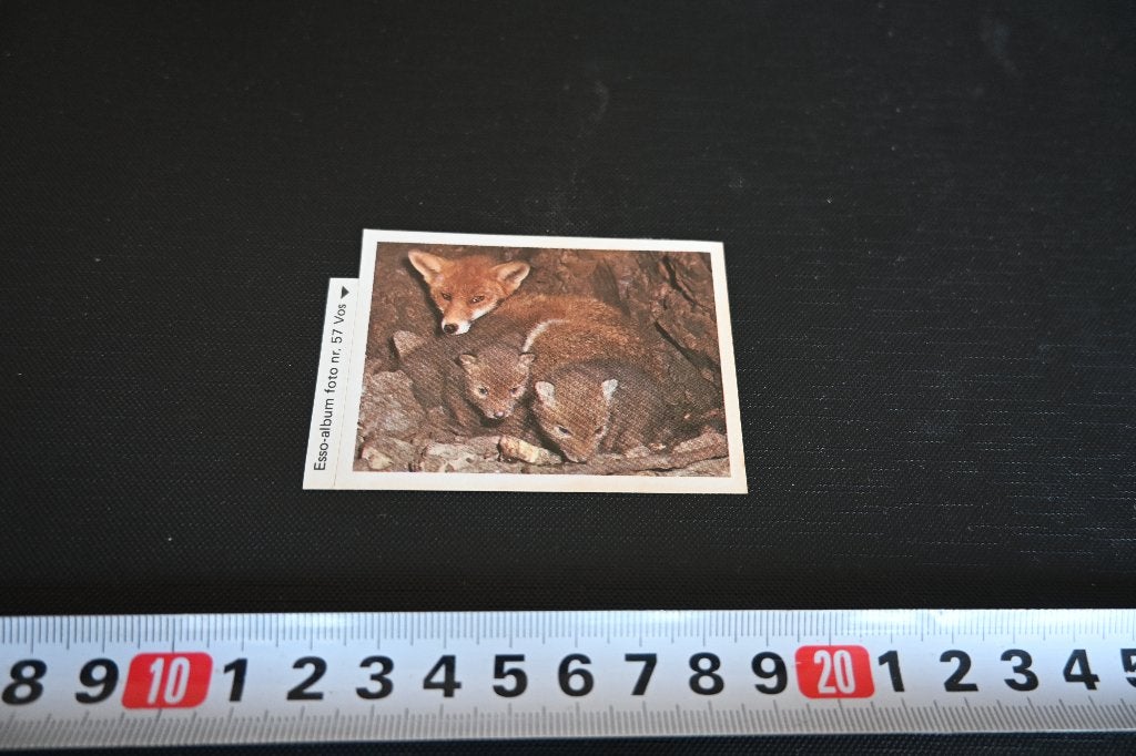 sticker esso dieren #57 vos, Ophalen of Verzenden, Zo goed als nieuw