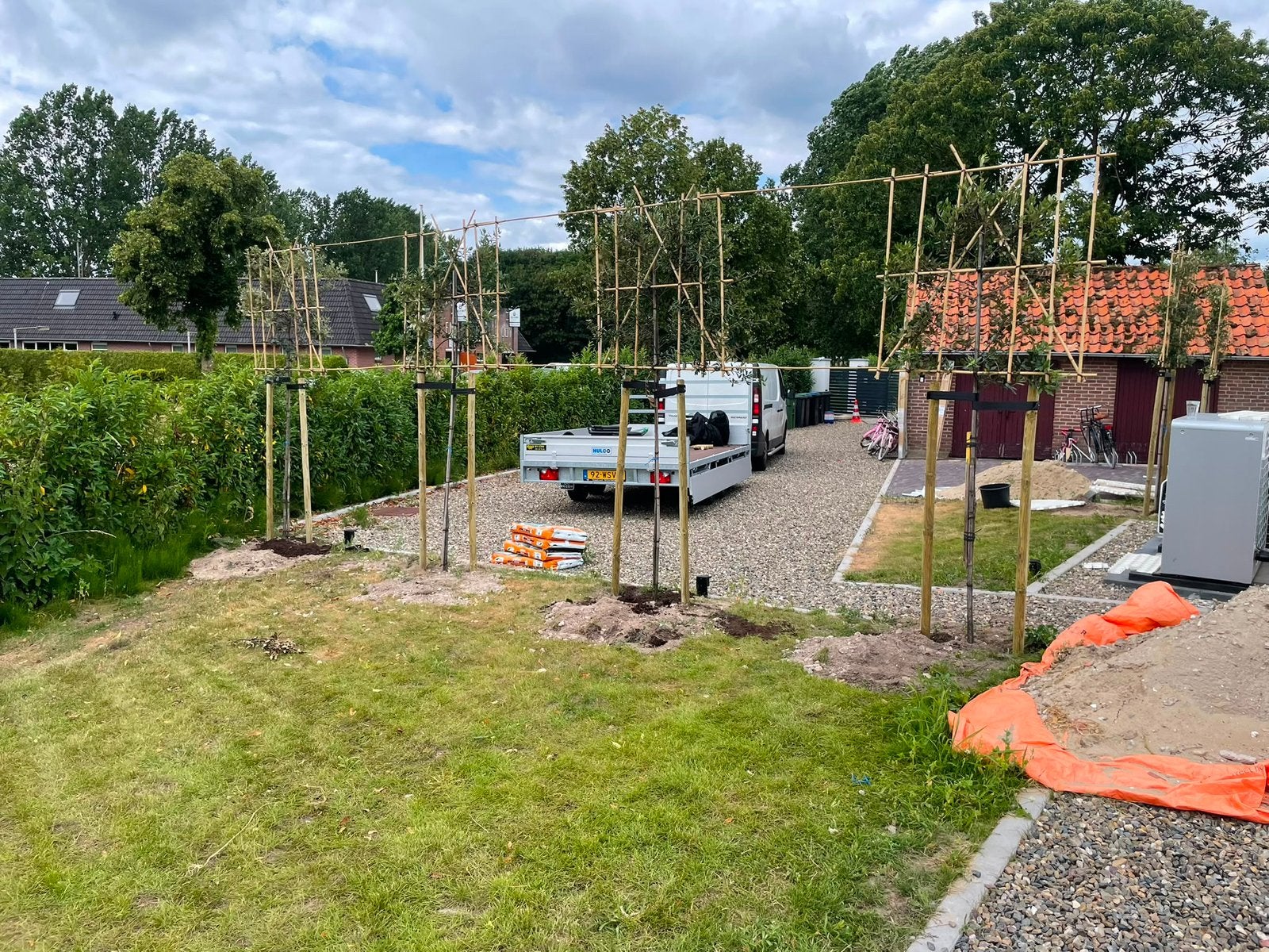 Lei laurier lei steeneik lei glansmisplelen leilaurier, In pot, Leiboom, Halfschaduw, Ophalen of Verzenden