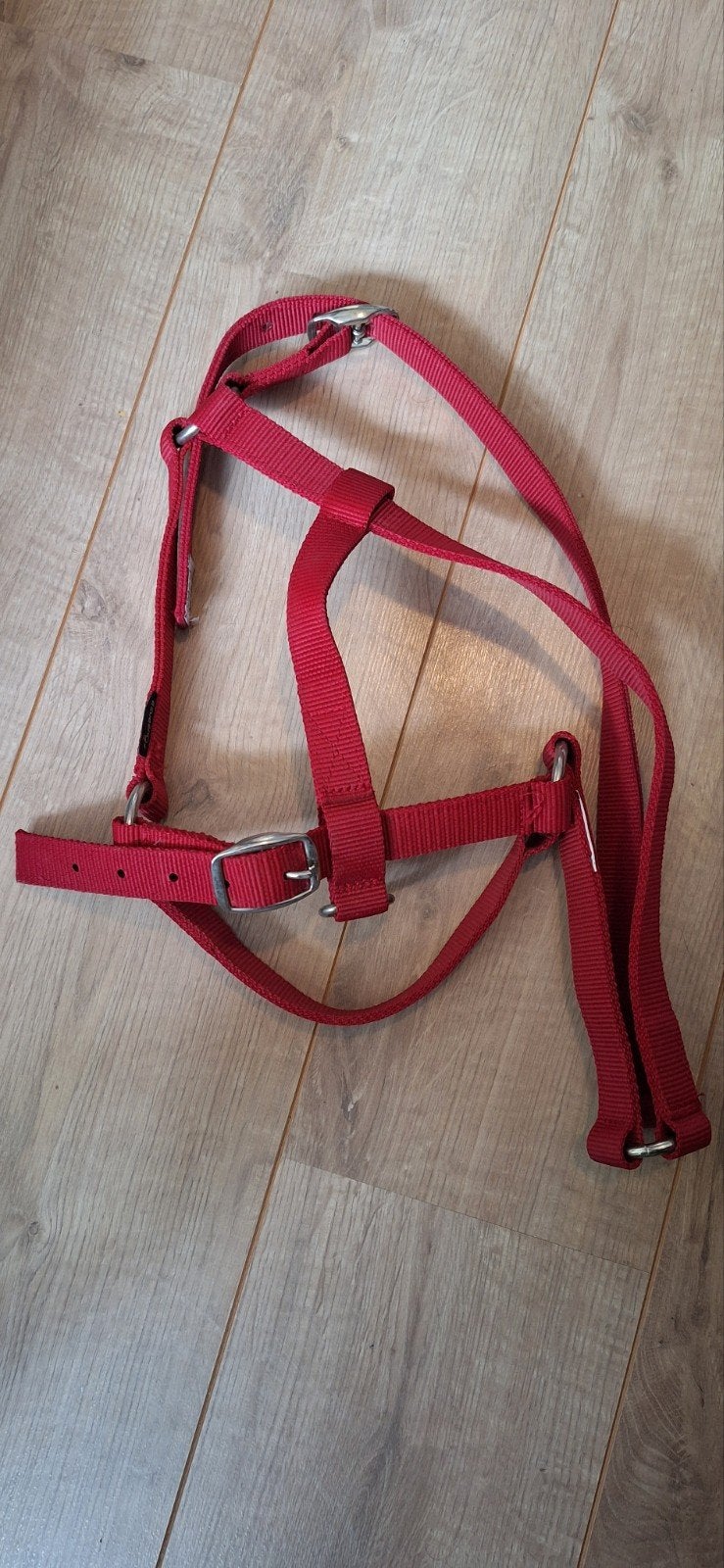 Hoofdstel Fouganza maat 4, Hoofdstel, Nieuw, Ophalen of Verzenden, Rood