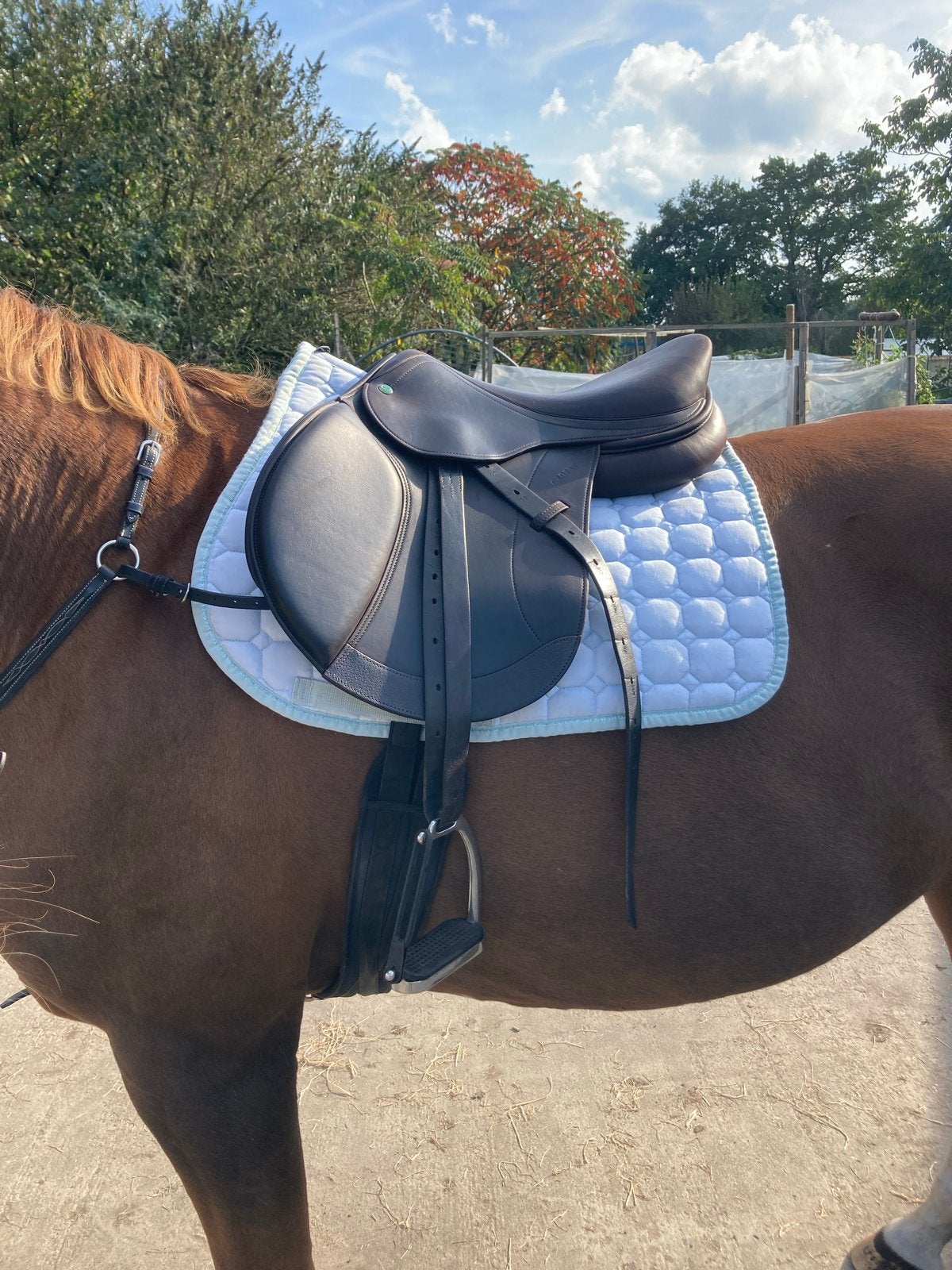 Licht blauw dekje met glitter rand, Dieren en Toebehoren, Katoen, Ophalen of Verzenden, Zo goed als nieuw, Pony (P)