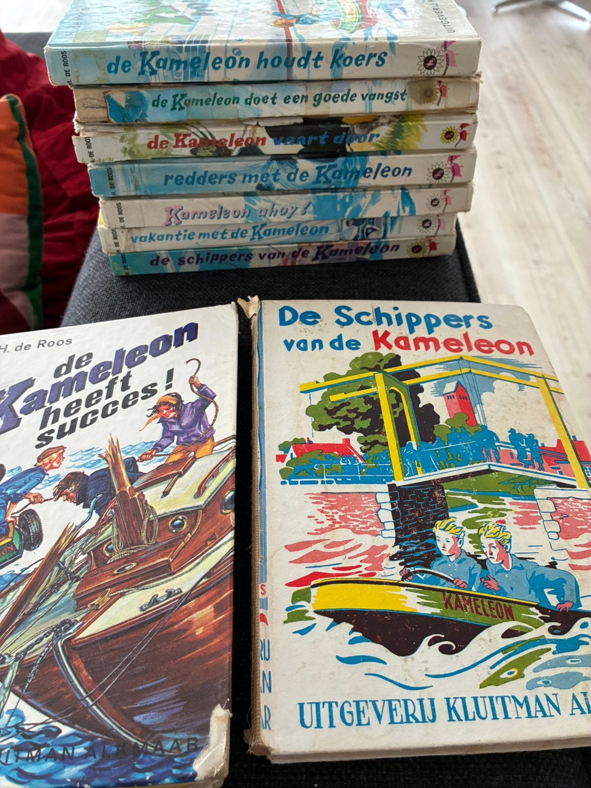 Kameleon boeken, Boeken, Ophalen of Verzenden, Gelezen, Fictie algemeen