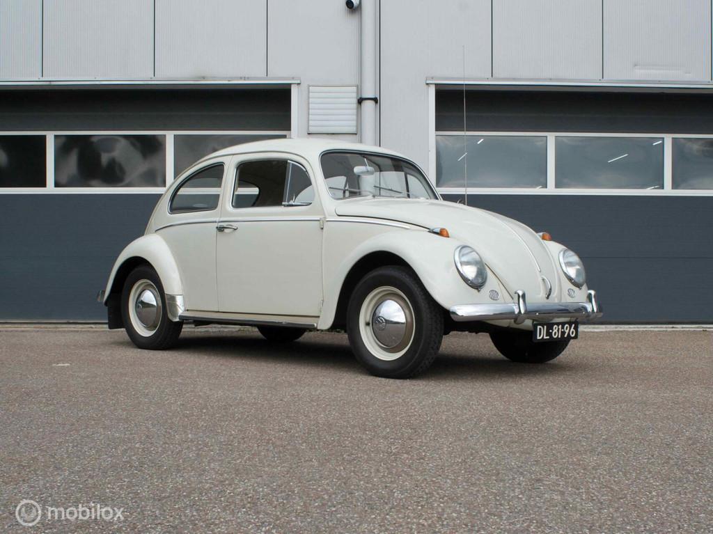 Volkswagen Kever 1200 | Ongerestaureerd | Roestvrij |1963, Beige, 1192 cc, Volkswagen, Wit