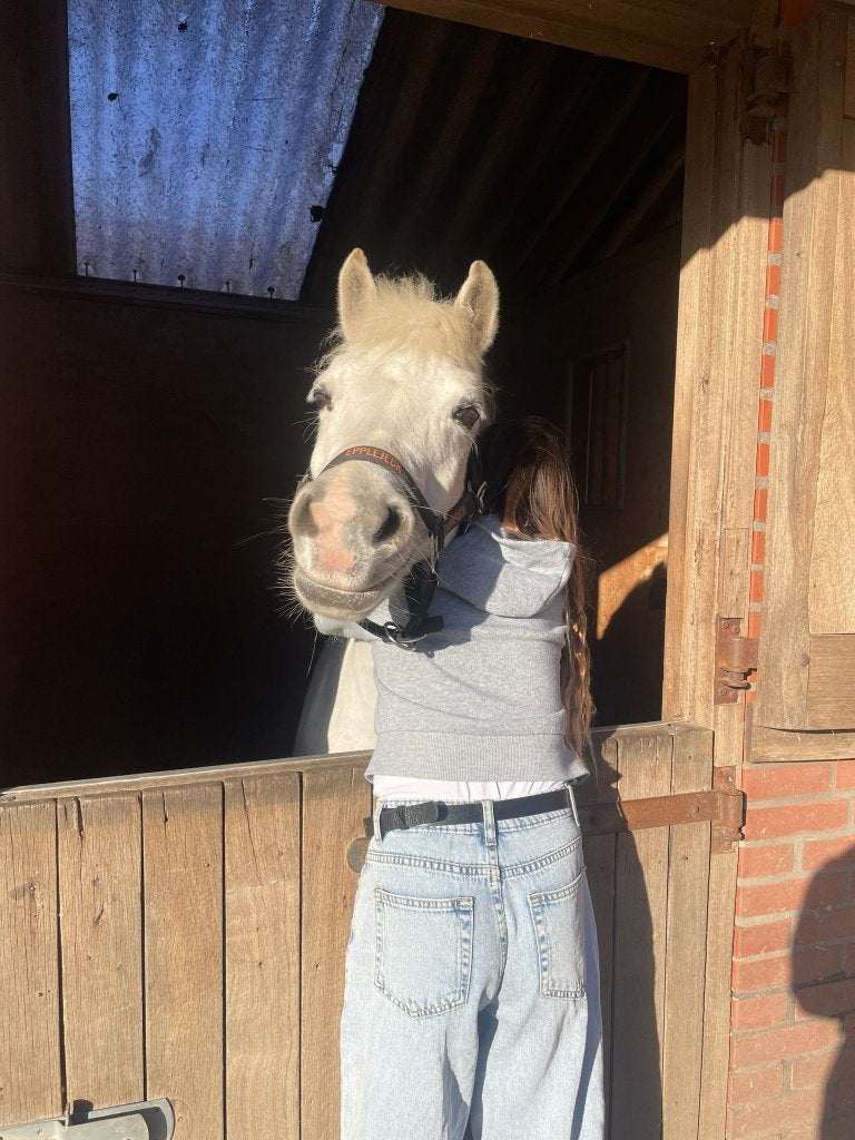 verzorg pony gezocht omgeving Veendam, Ophalen