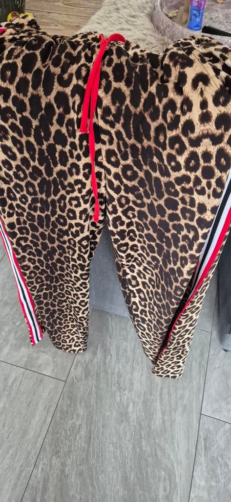 Luipaardprint broek met rode streep en trekkoord, Kleding | Dames, Broeken en Pantalons, Maat 38/40 (M), Overige kleuren, Ophalen of Verzenden