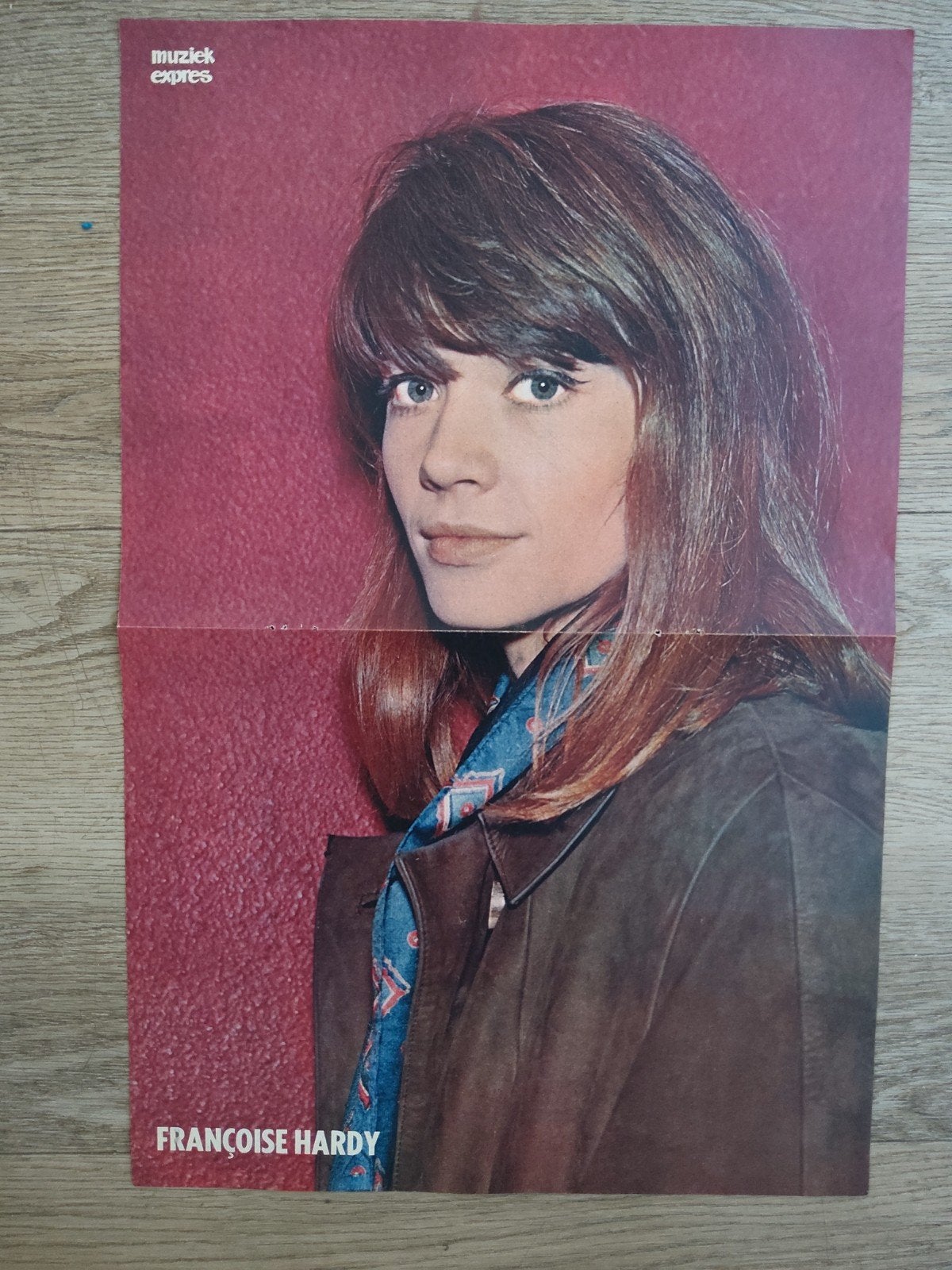 Françoise Hardy:  Poster muziek expres, Ophalen of Verzenden, A1 t/m A3