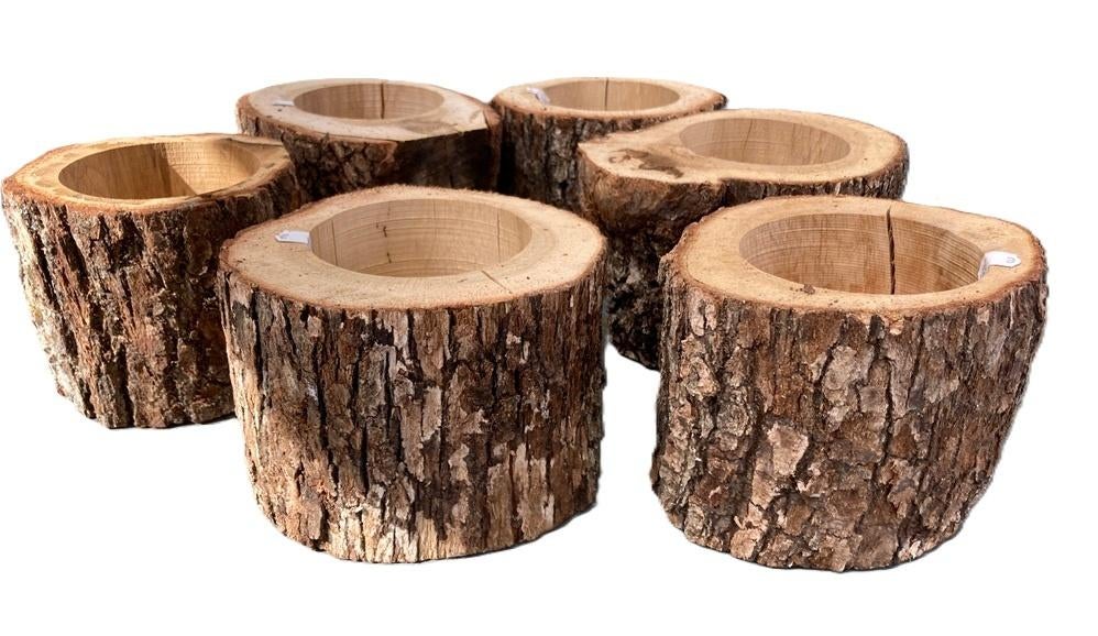 BOOMSTAM BLOEMBAKJES 11 CM NIEUW, Overige materialen, -, -, Rond