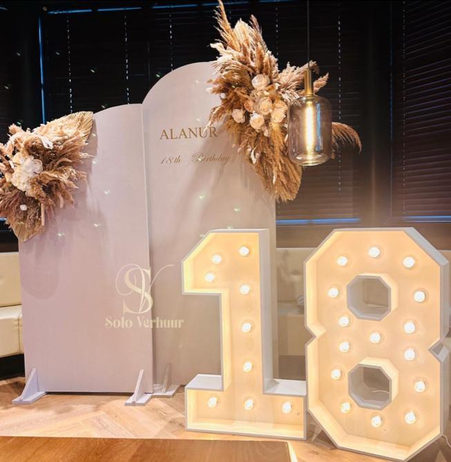 Backdrop Pampas set met Lichtcijfers, Ophalen, Zo goed als nieuw, Versiering, Verjaardag