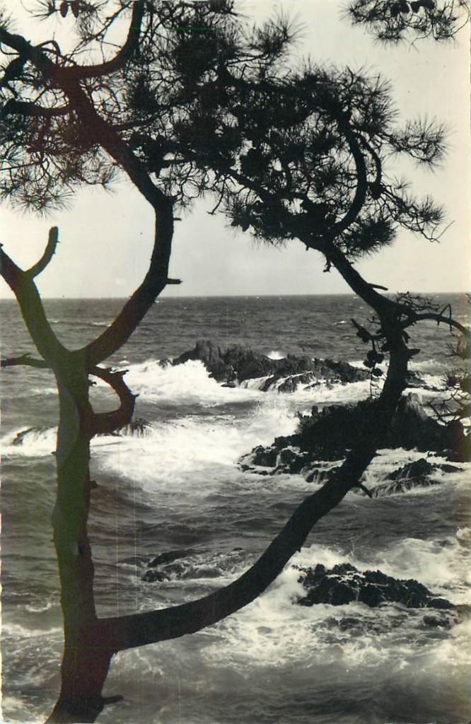 701-465-029 Cote d Azur, Verzenden, Voor 1920, Frankrijk