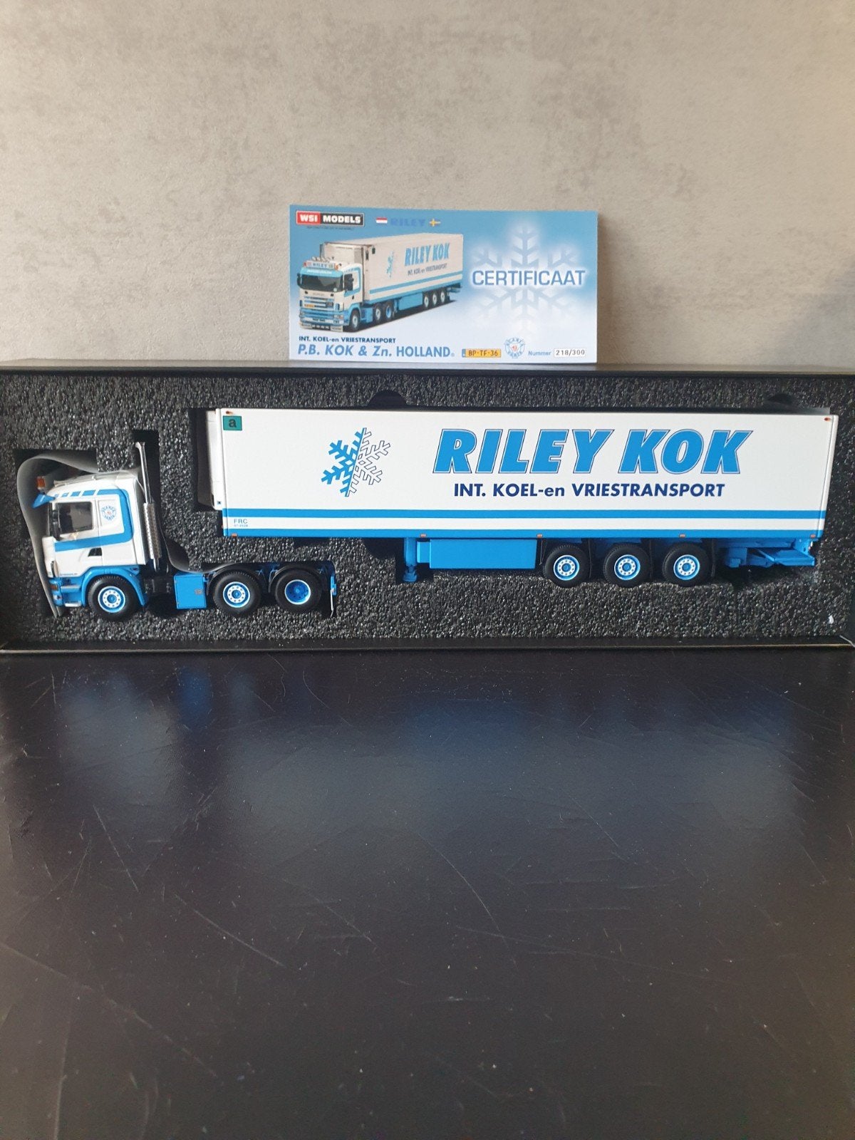 wsi PB/RILEY KOK, Ophalen of Verzenden, Nieuw, Bus of Vrachtwagen, Wsi
