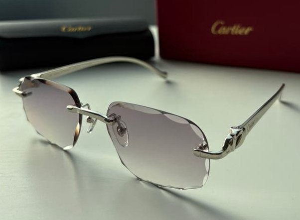 Cartier Panthère Zonnebril Zilver Grijze Glazen (dita dalia), Sieraden, Tassen en Uiterlijk, Ophalen of Verzenden, Zo goed als nieuw