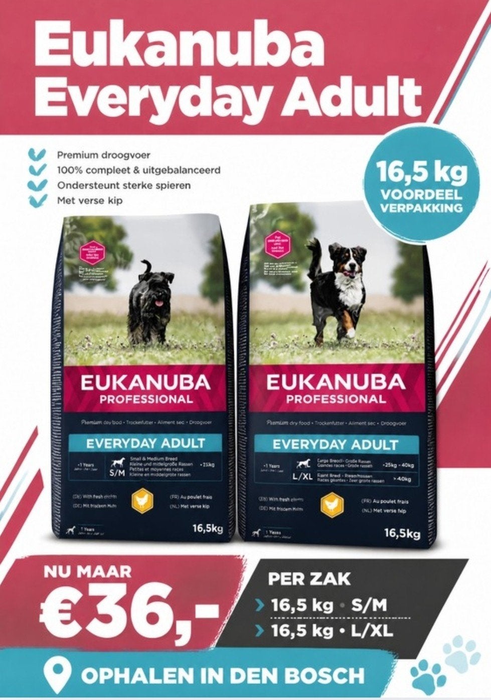 eukanuba everyday adult 16.5kg honden brokken, Ophalen of Verzenden, Hond