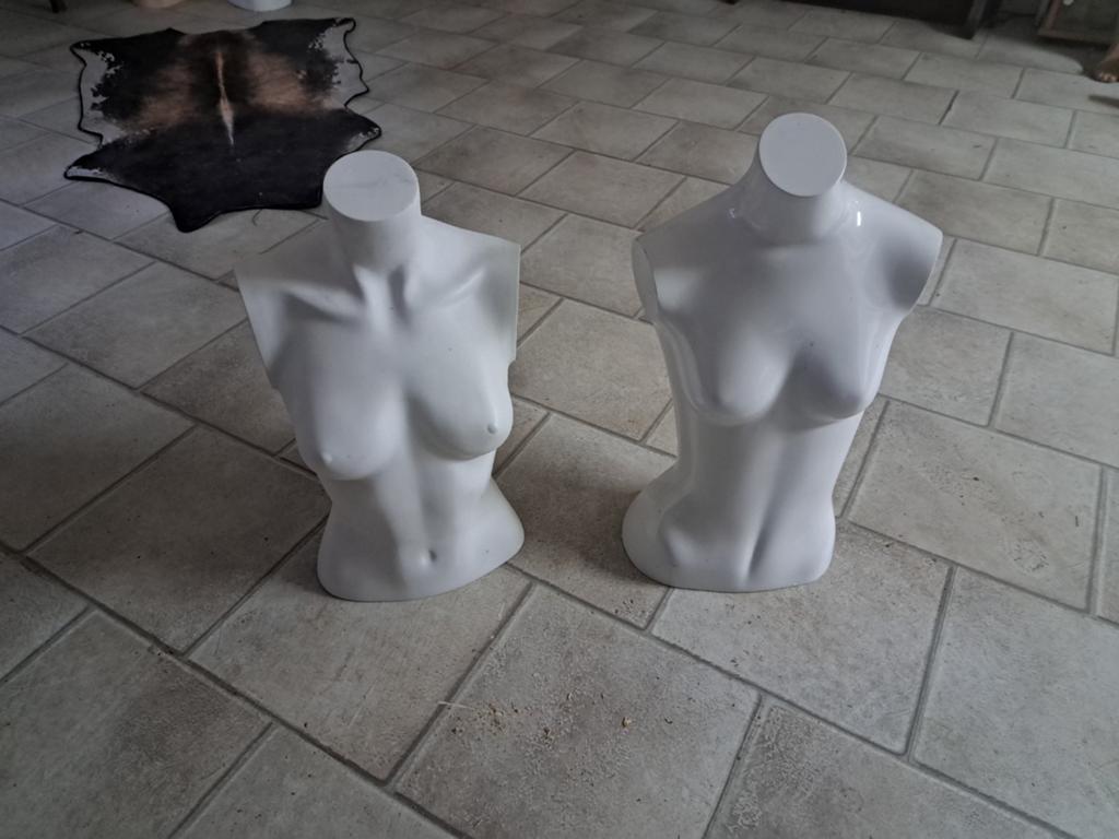 paspop/bustes/torso/, Ophalen of Verzenden, Gebruikt