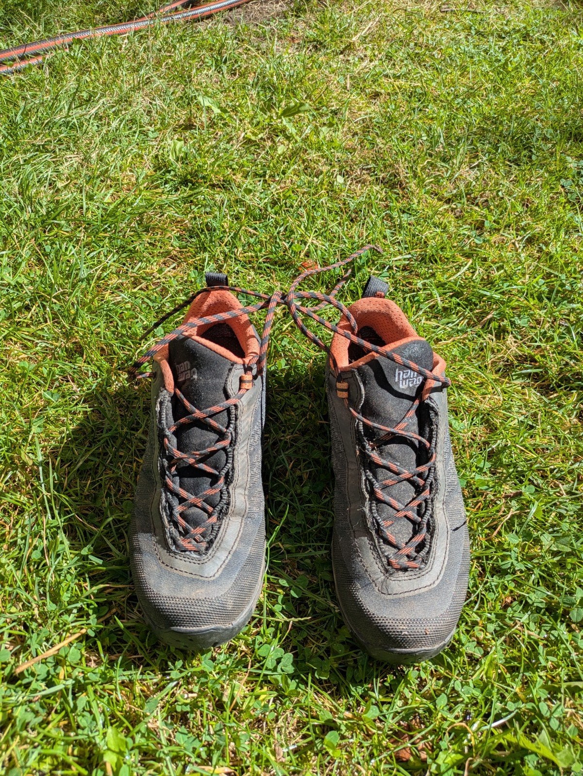Hanwag wandelschoenen - Ferrata Light Low GTX hiking 37, Ophalen of Verzenden, Gebruikt, Schoenen