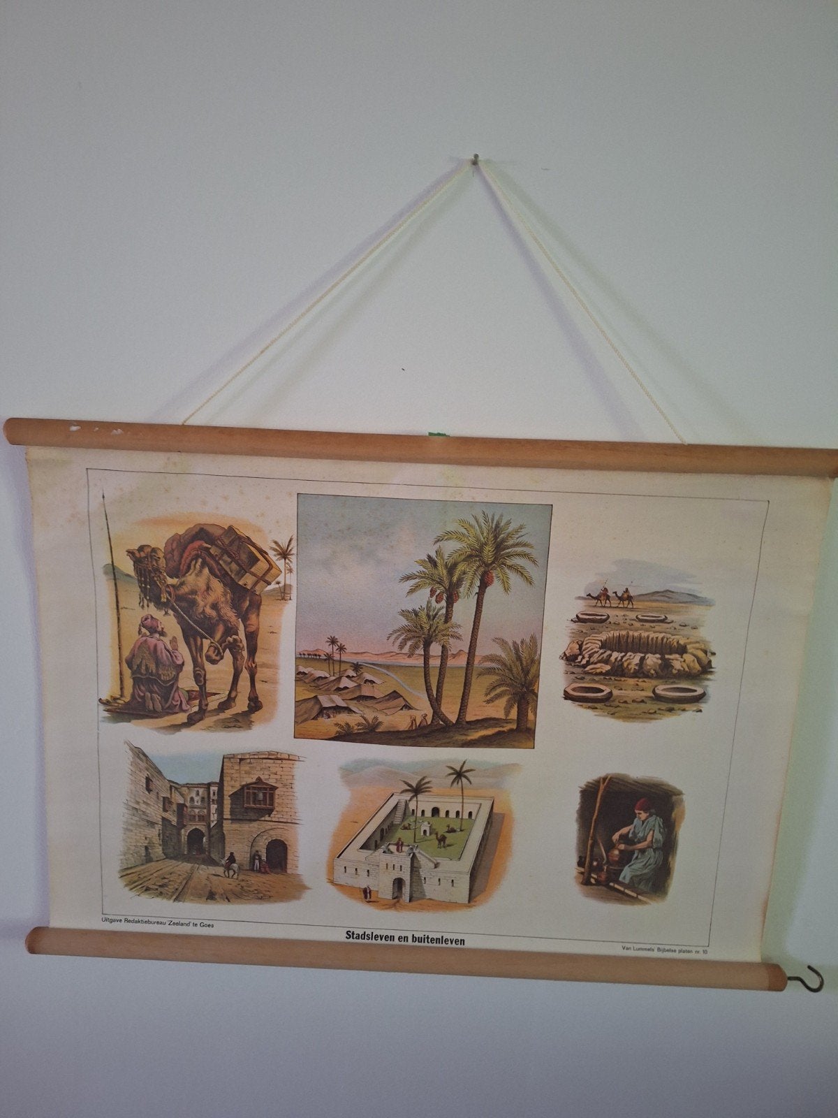 Vintage schoolplaat 'Stadsleven en buitenleven', Ophalen of Verzenden, Natuur en Biologie