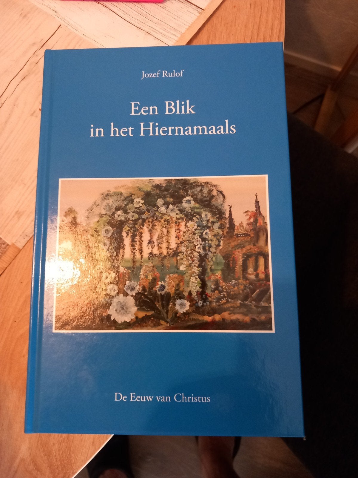 Een blik in het hiernamaals jozef rulof, Ophalen of Verzenden, Zo goed als nieuw, Overige typen