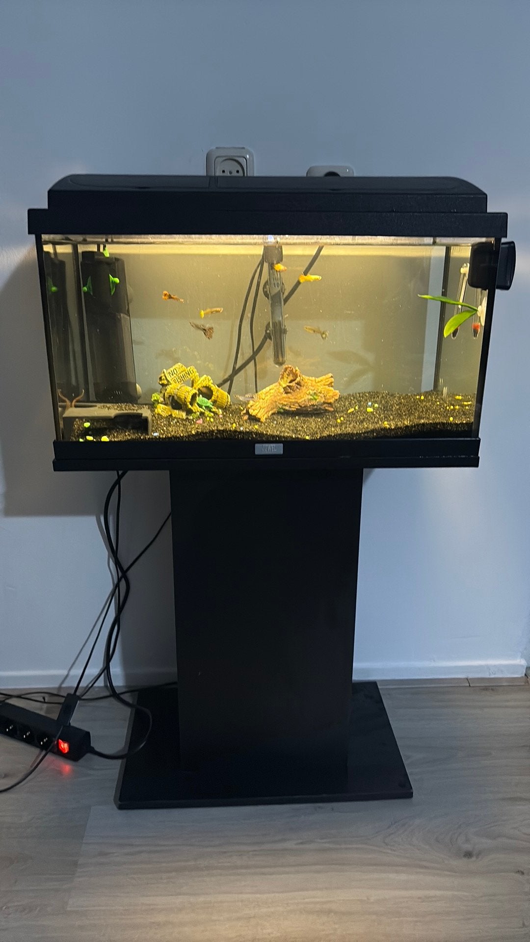 Aqarium 45 liter met vissen en toebehoren, Dieren en Toebehoren, Vissen | Aquaria en Toebehoren, Ophalen, Zo goed als nieuw, Gevuld zoetwateraquarium