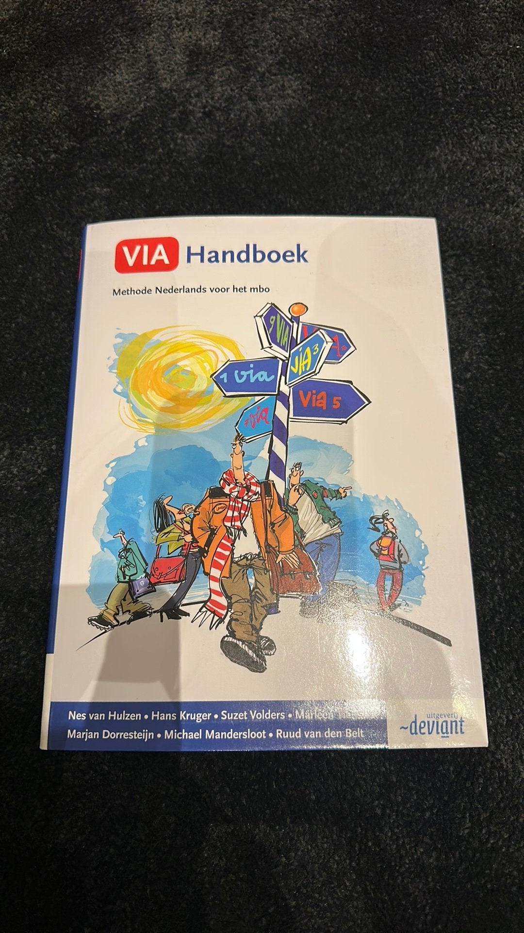 Ruud van den Belt - VIA handboek, Boeken, Ophalen of Verzenden, Zo goed als nieuw, Ruud van den Belt; Suzet Volders; Marleen Tienstra; Marjan Do...