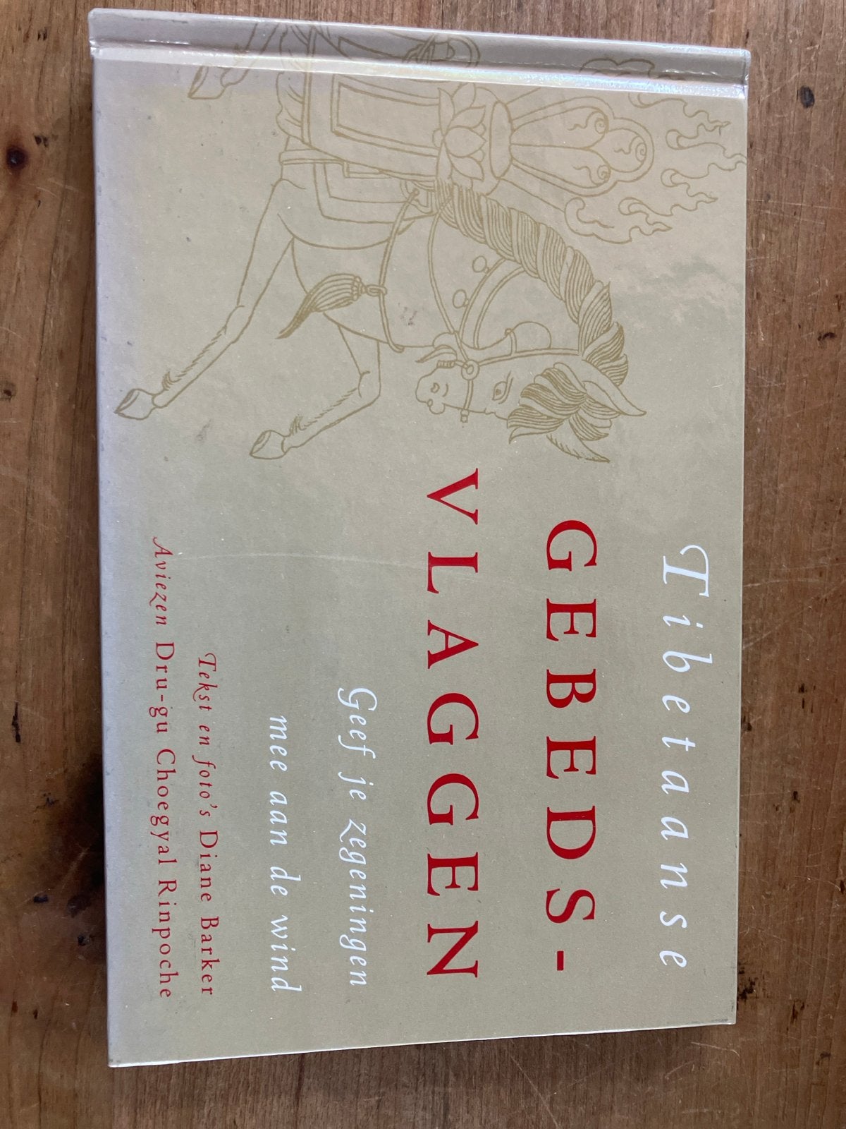 Tibetaanse Gebedsvlaggen - Geef je zegeningen mee aan de win, Ophalen of Verzenden, Gelezen, Spiritualiteit algemeen, Achtergrond en Informatie