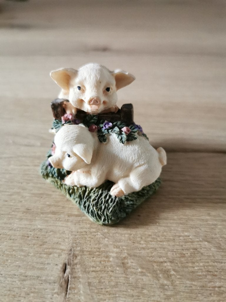 Varkens in de wei, Ophalen of Verzenden, Zo goed als nieuw, Dier