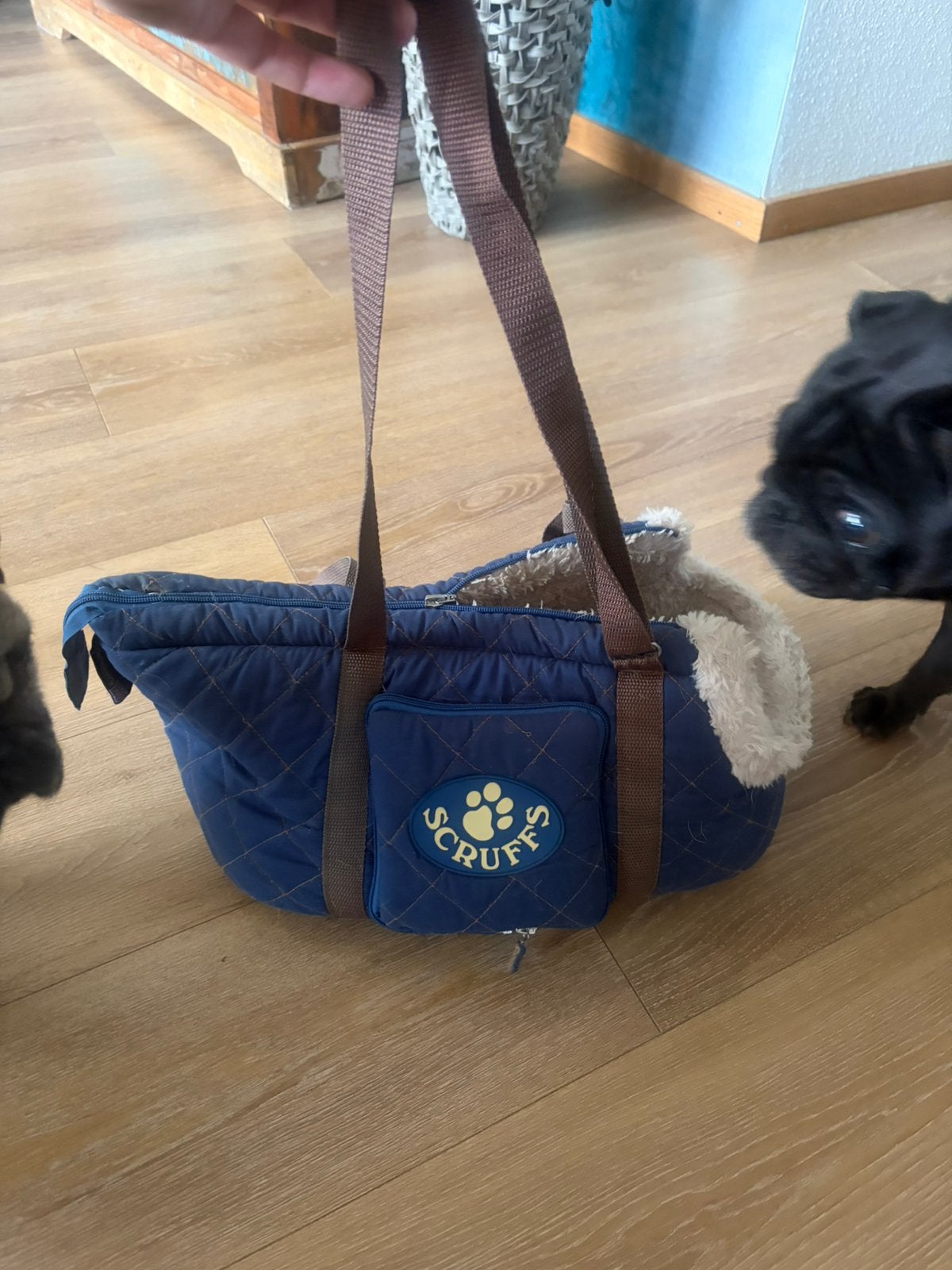 Scruffs hondentas voor hond van max 10kg, Ophalen of Verzenden, Zo goed als nieuw