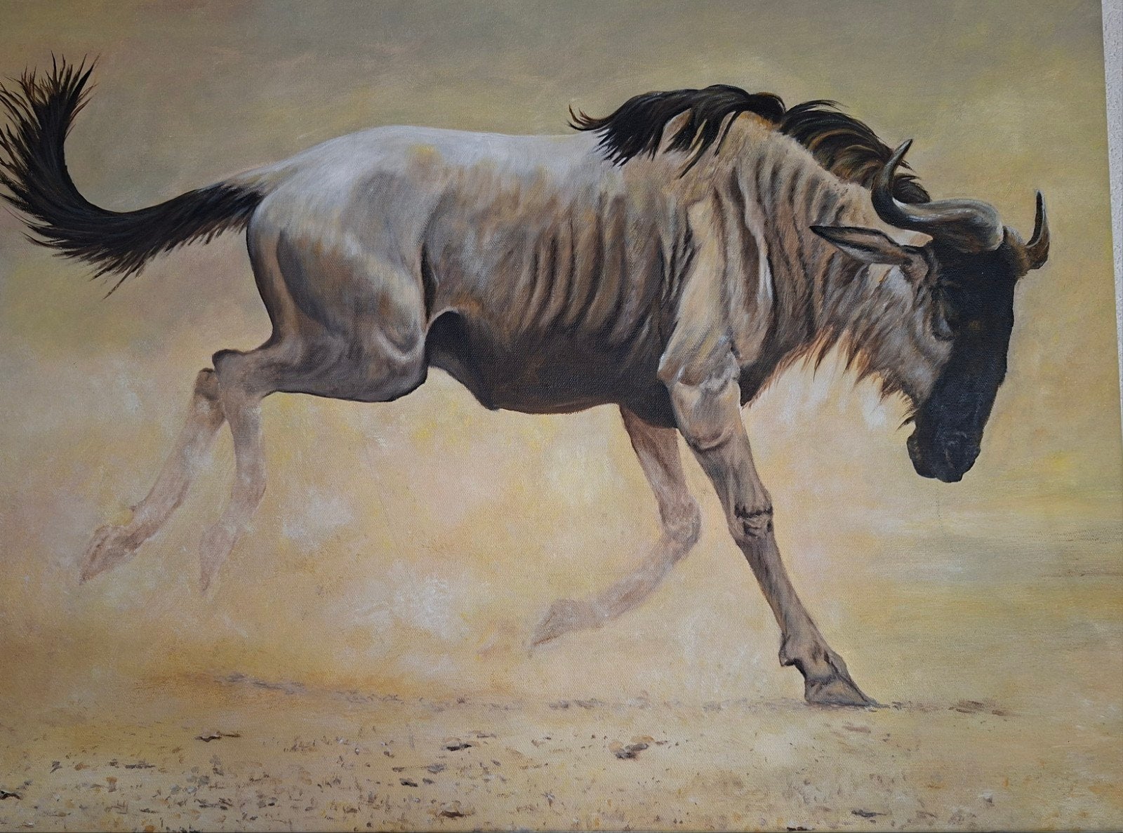 schilderij gnoe, Ophalen