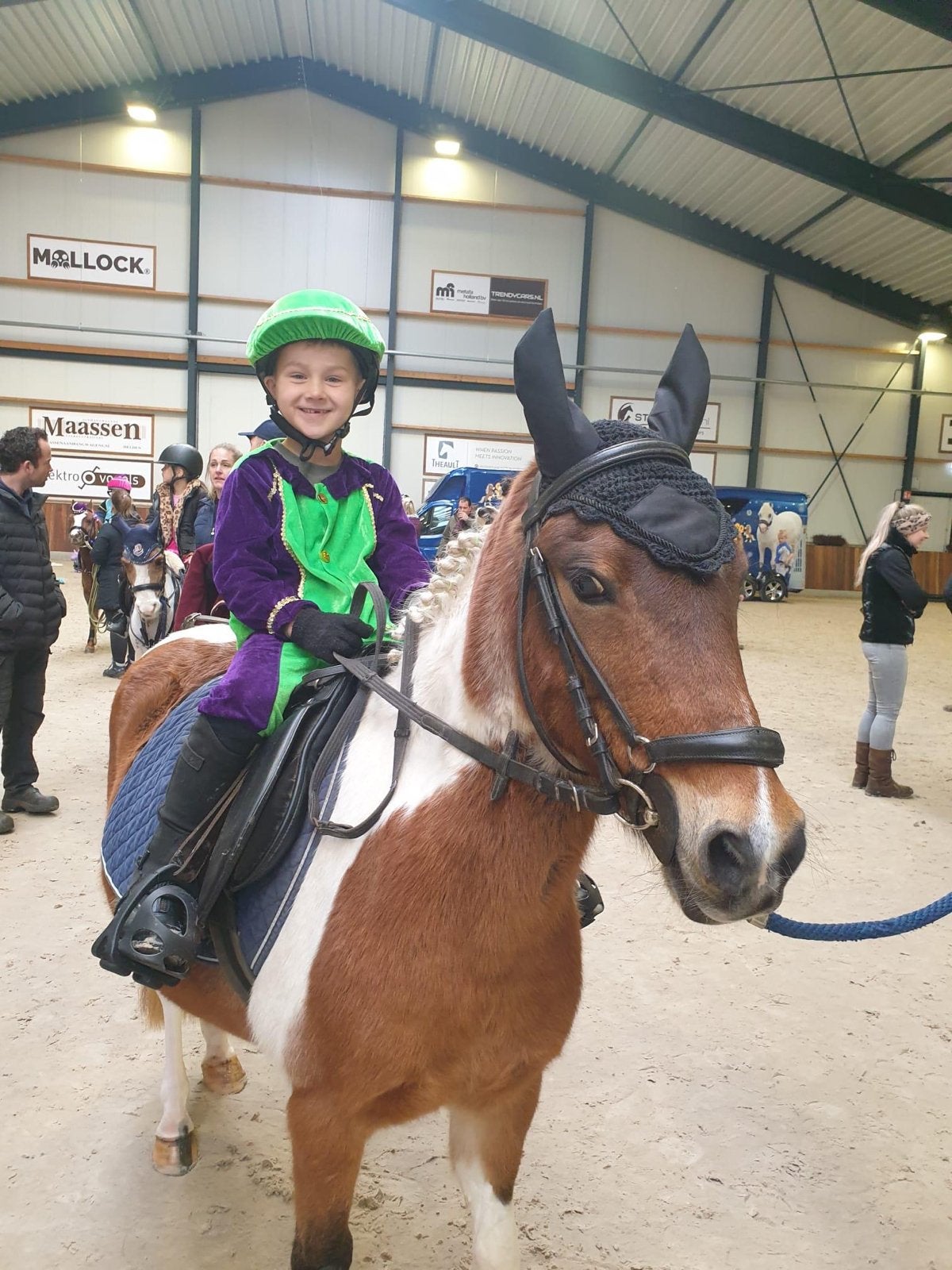 Super brave, fitte en veelzijdige B-pony, Dieren en Toebehoren, Pony's, Merrie, B, Gechipt, B pony (1.17m tot 1.27m)