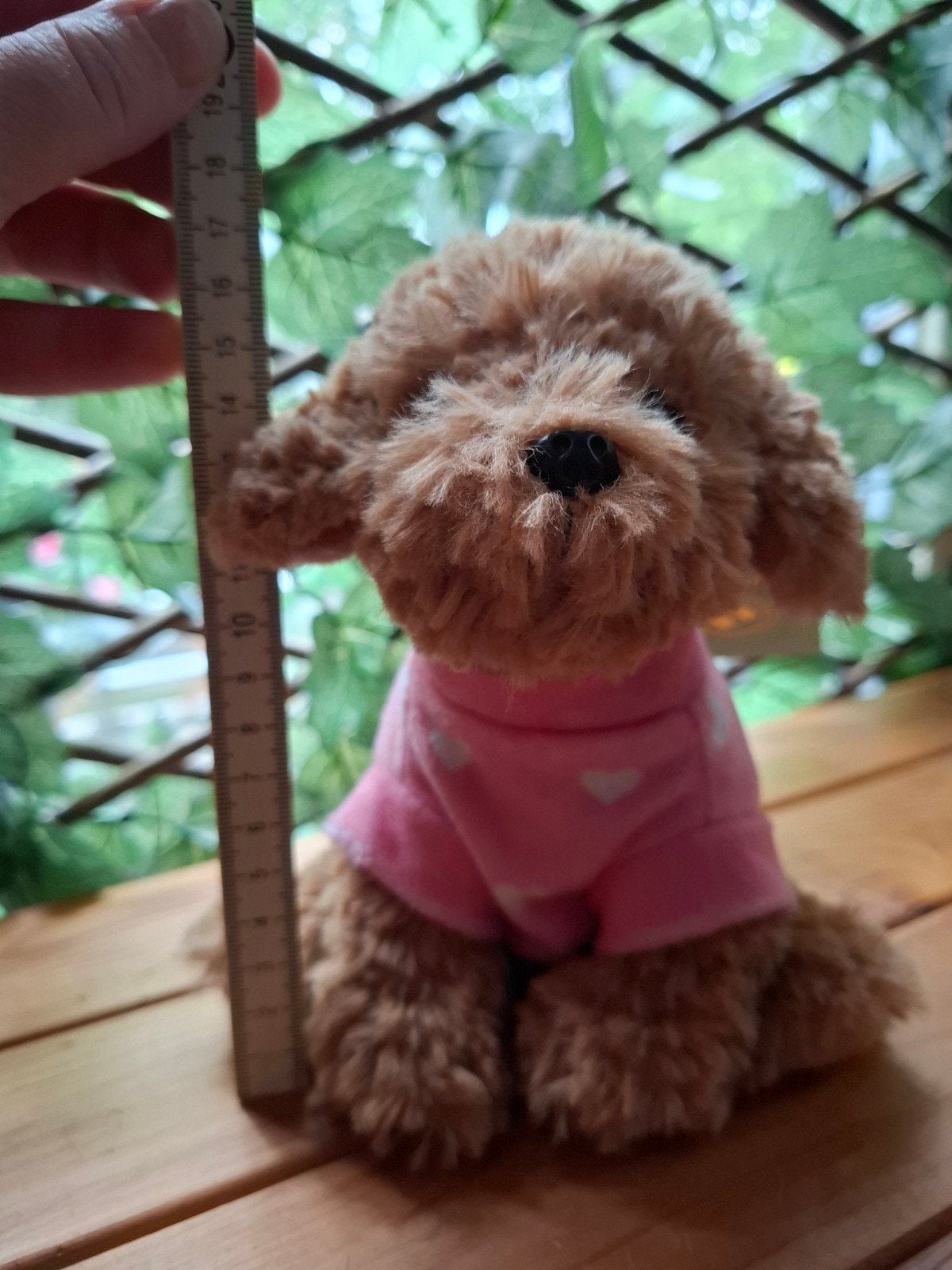 Studio Pets Toy Poedel Cookie - Nieuw met label, Overige merken, Nieuw, Met kleding of accessoire, Klein (minder dan 20 cm)