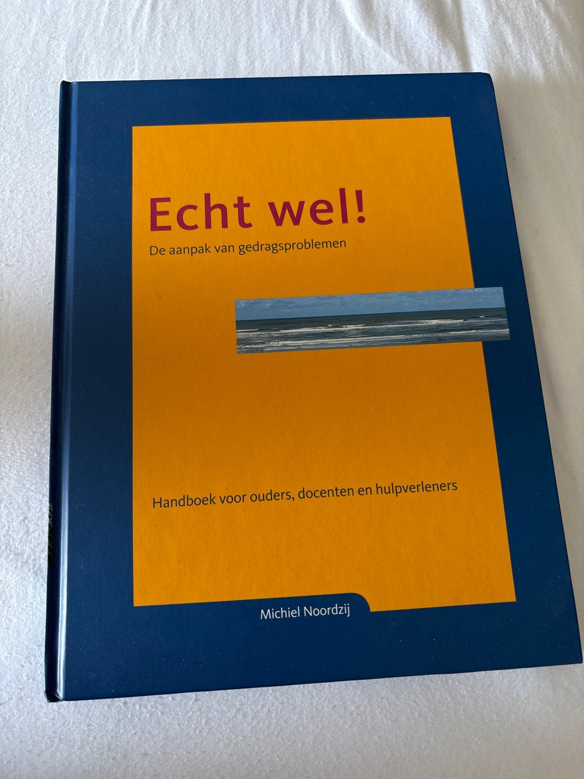 Echt wel! De aanpak van gedragsproblemen - Michiel Noordzij, Ophalen of Verzenden, Gamma, Zo goed als nieuw, Overige niveaus