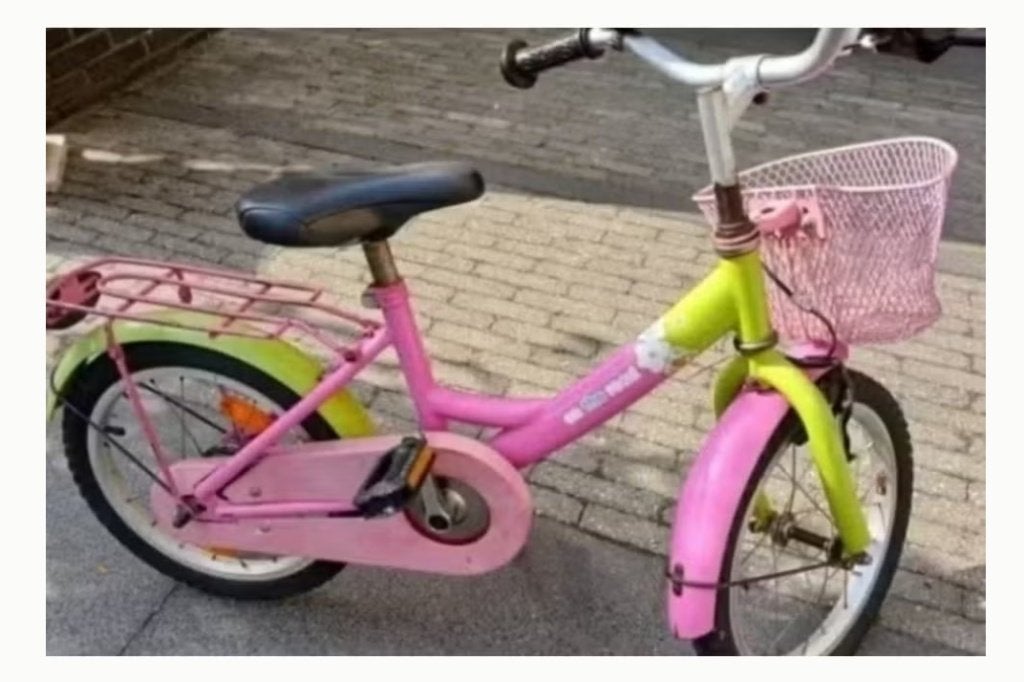 Kinderfietsje 16 inch, Ophalen, Gebruikt, 16 tot 20 inch