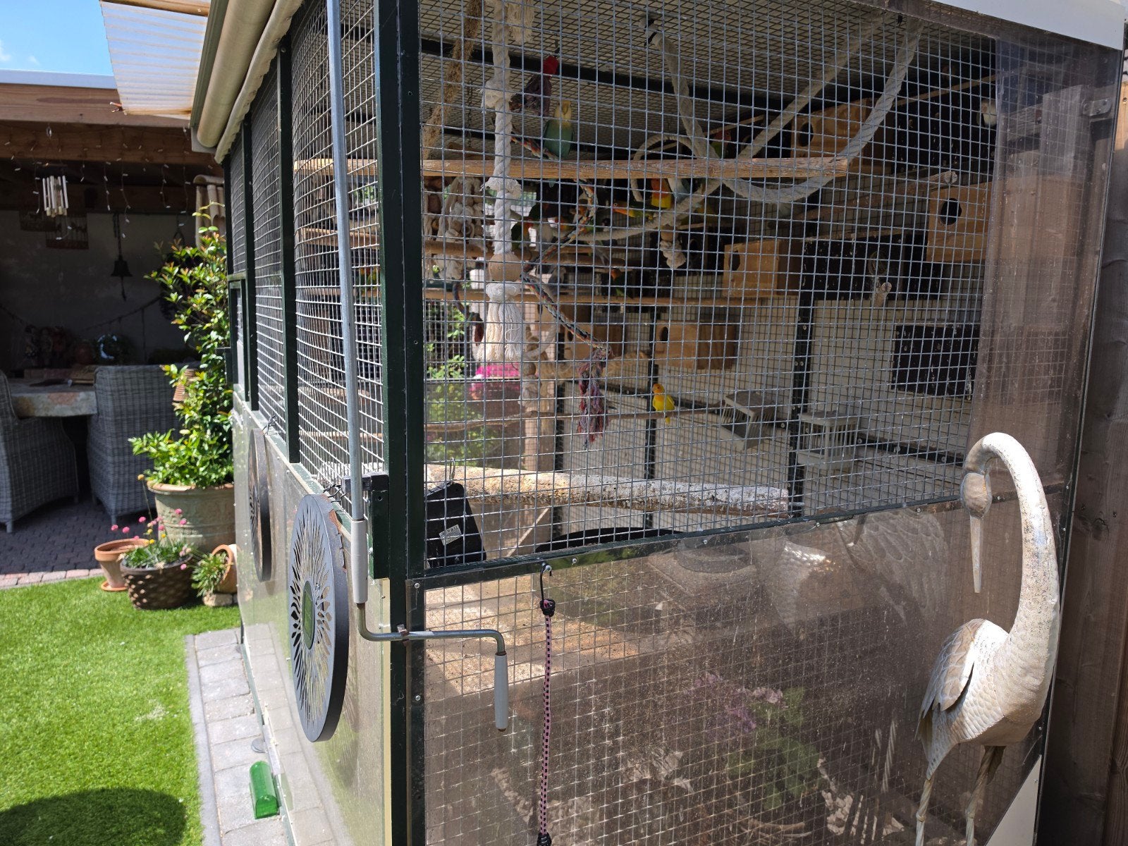 Voilere met 35 agapornis, Ophalen, Aluminium, Vogelkooi