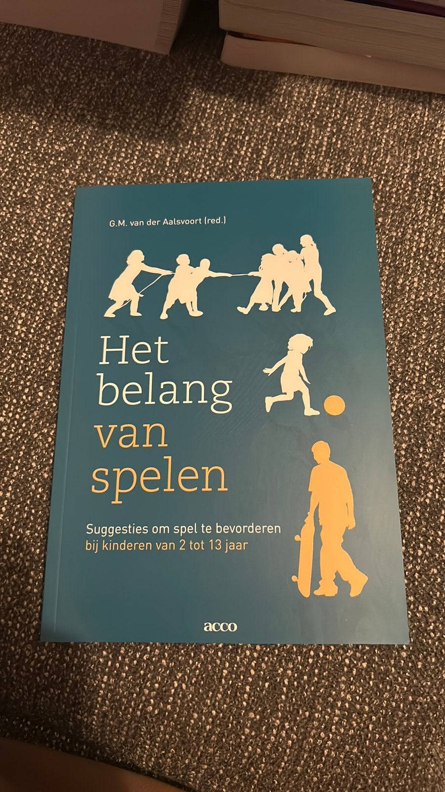 Het belang van spelen, Ophalen of Verzenden, Zo goed als nieuw